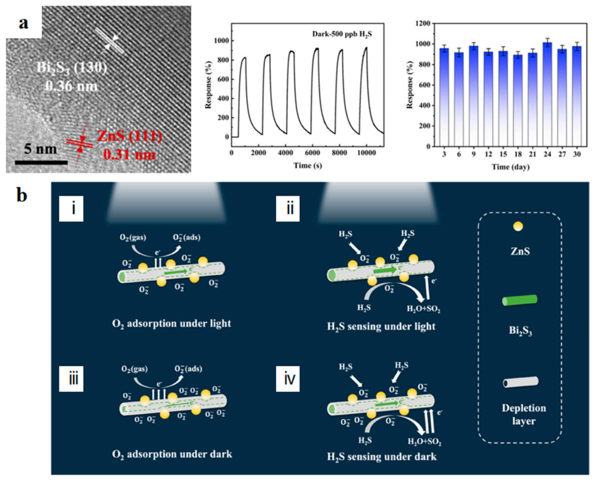 Chemosensors 13 00120 g011