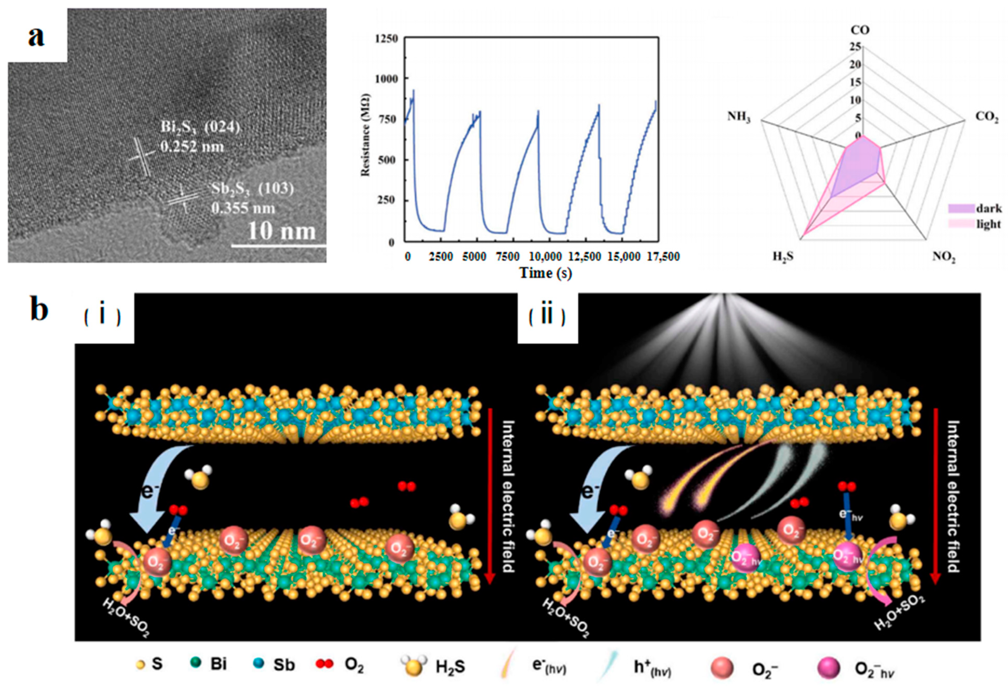 Chemosensors 13 00120 g012