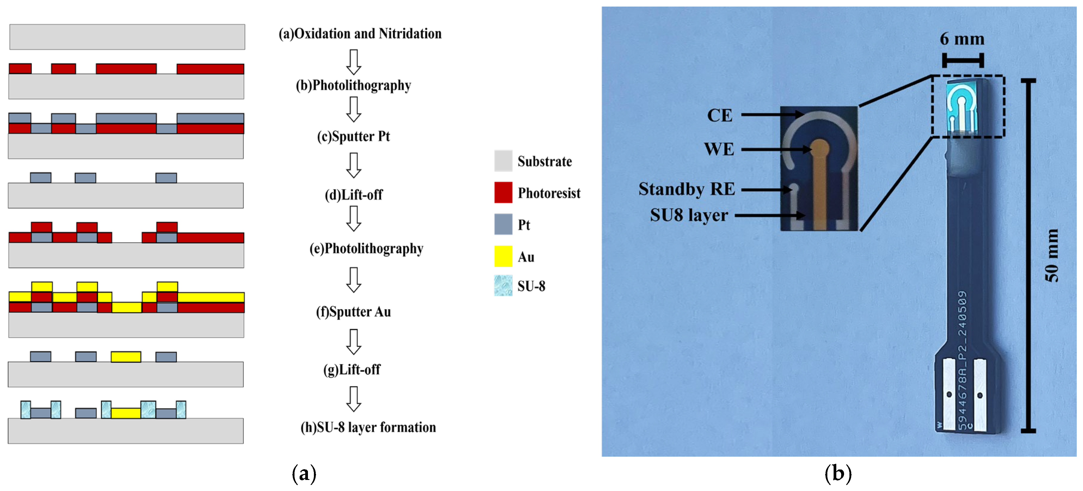 Chemosensors 13 00129 g001