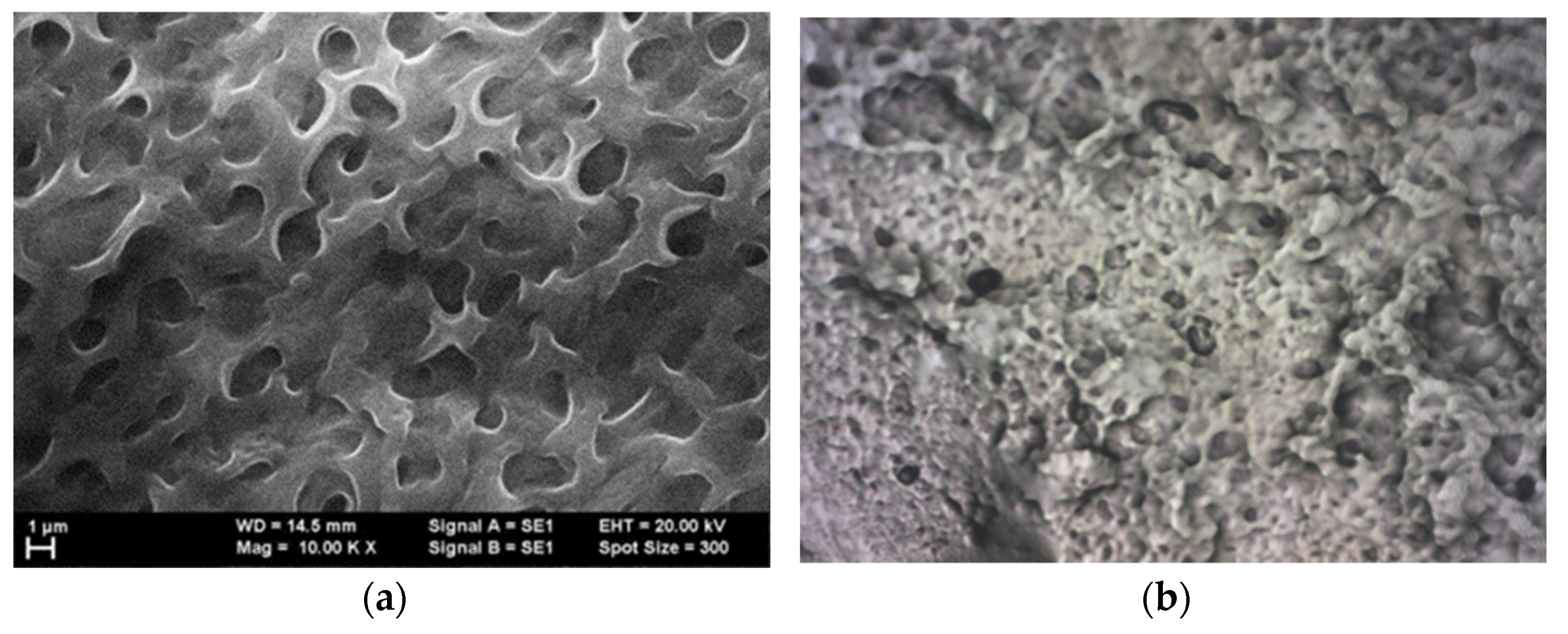 Chemosensors 13 00130 g001