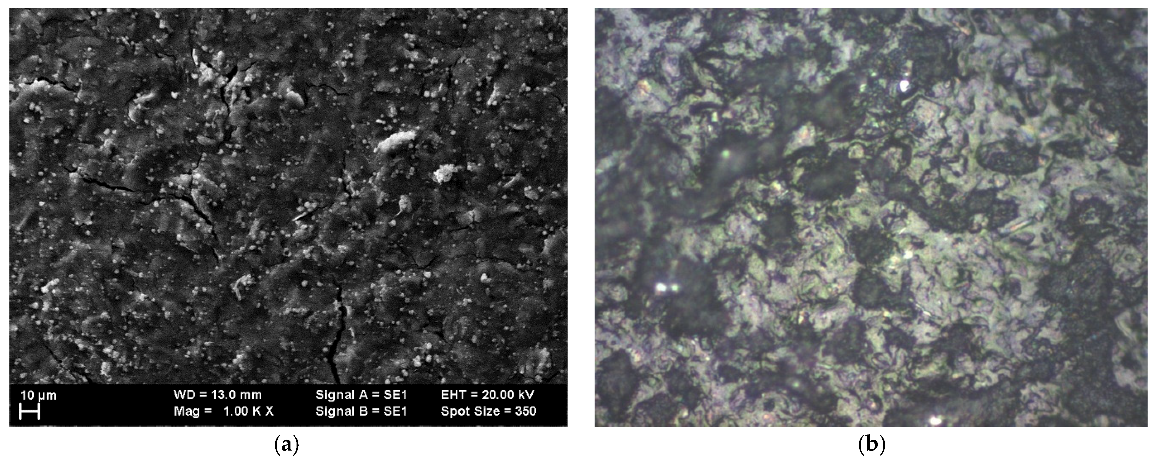 Chemosensors 13 00130 g003