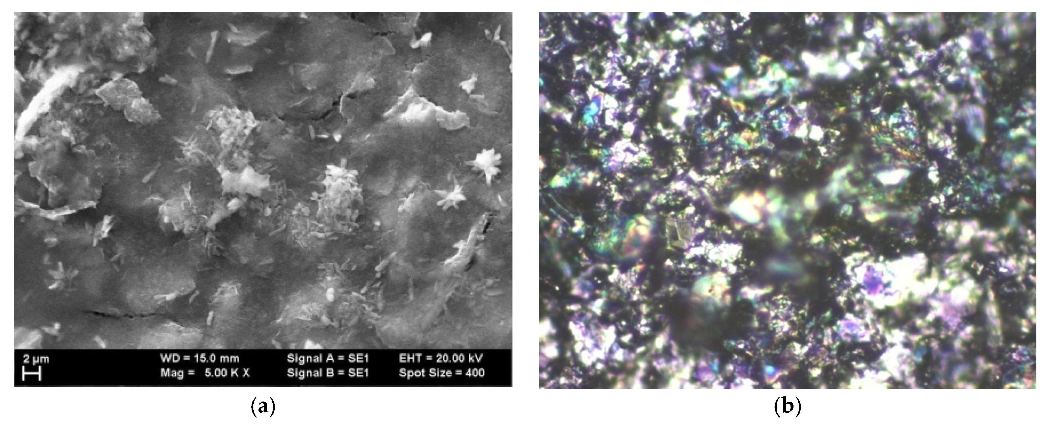 Chemosensors 13 00130 g005