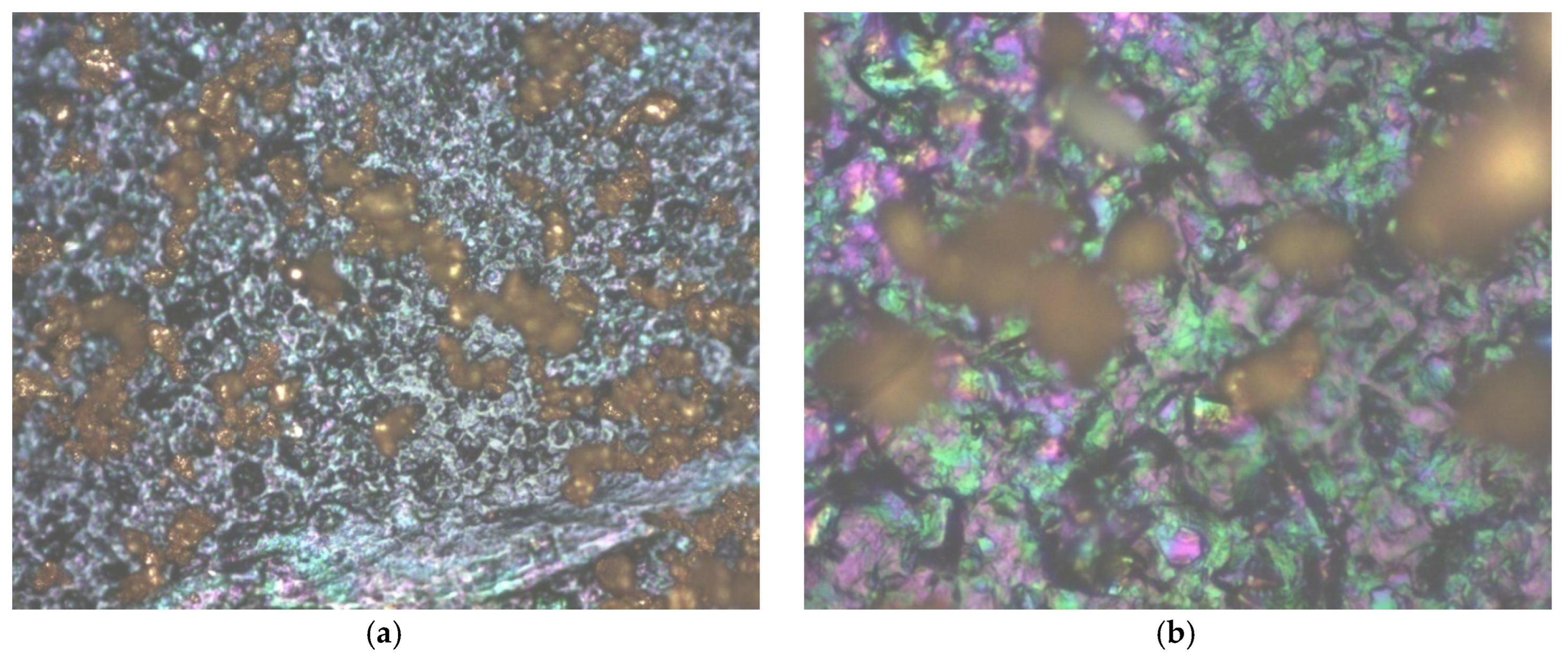 Chemosensors 13 00130 g009
