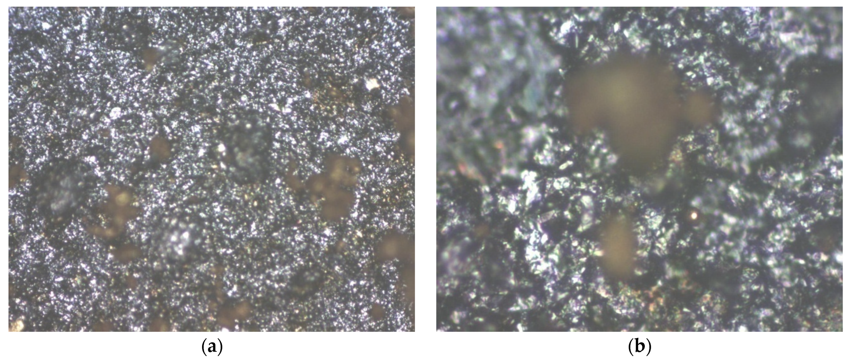 Chemosensors 13 00130 g011
