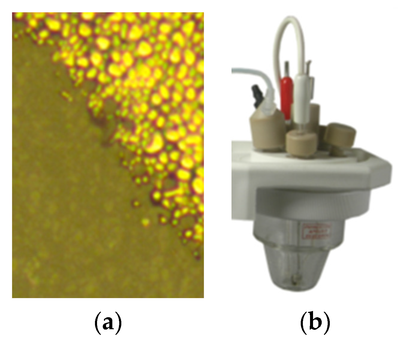 Chemosensors 13 00130 g013