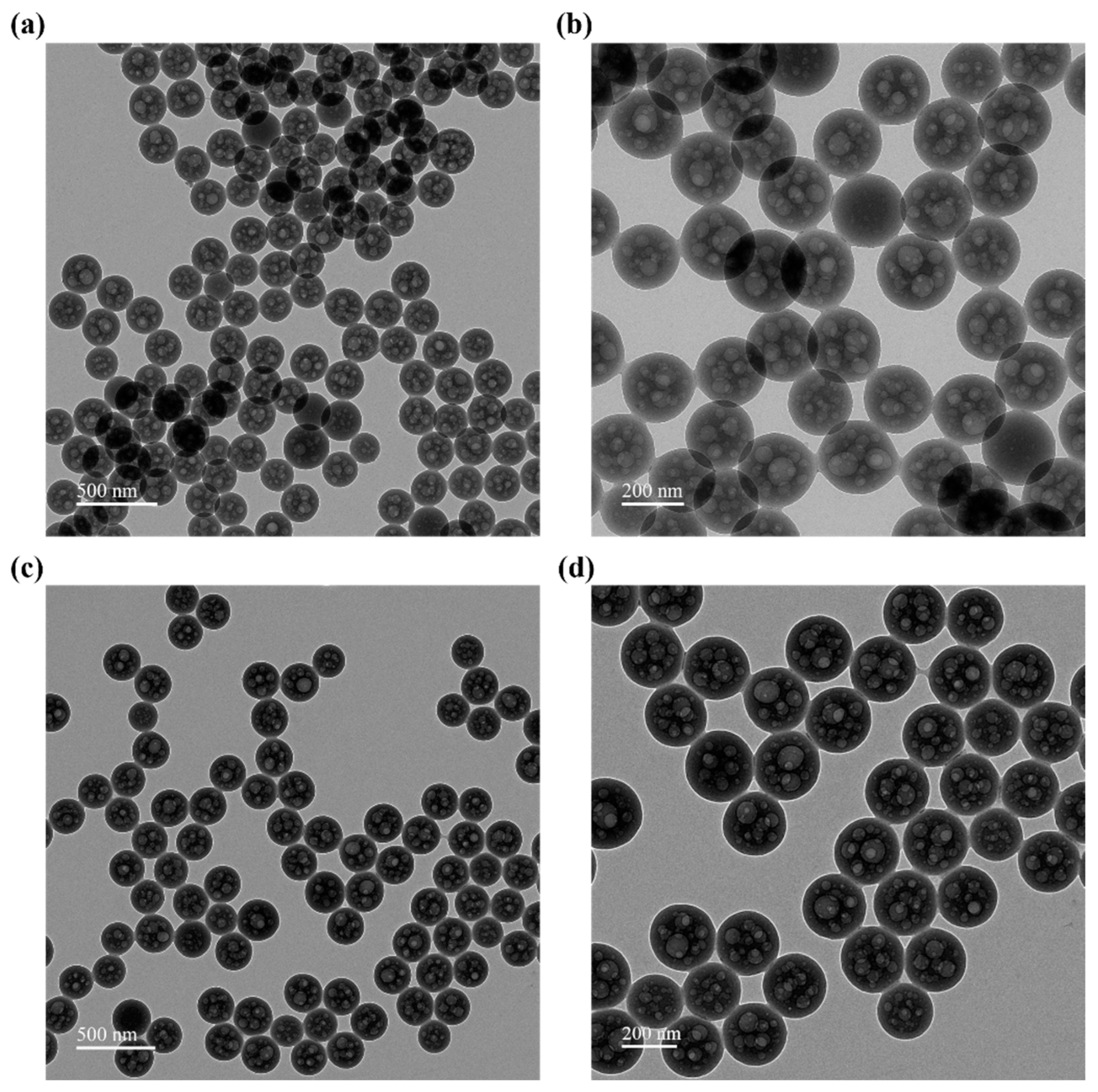Chemosensors 13 00142 g007