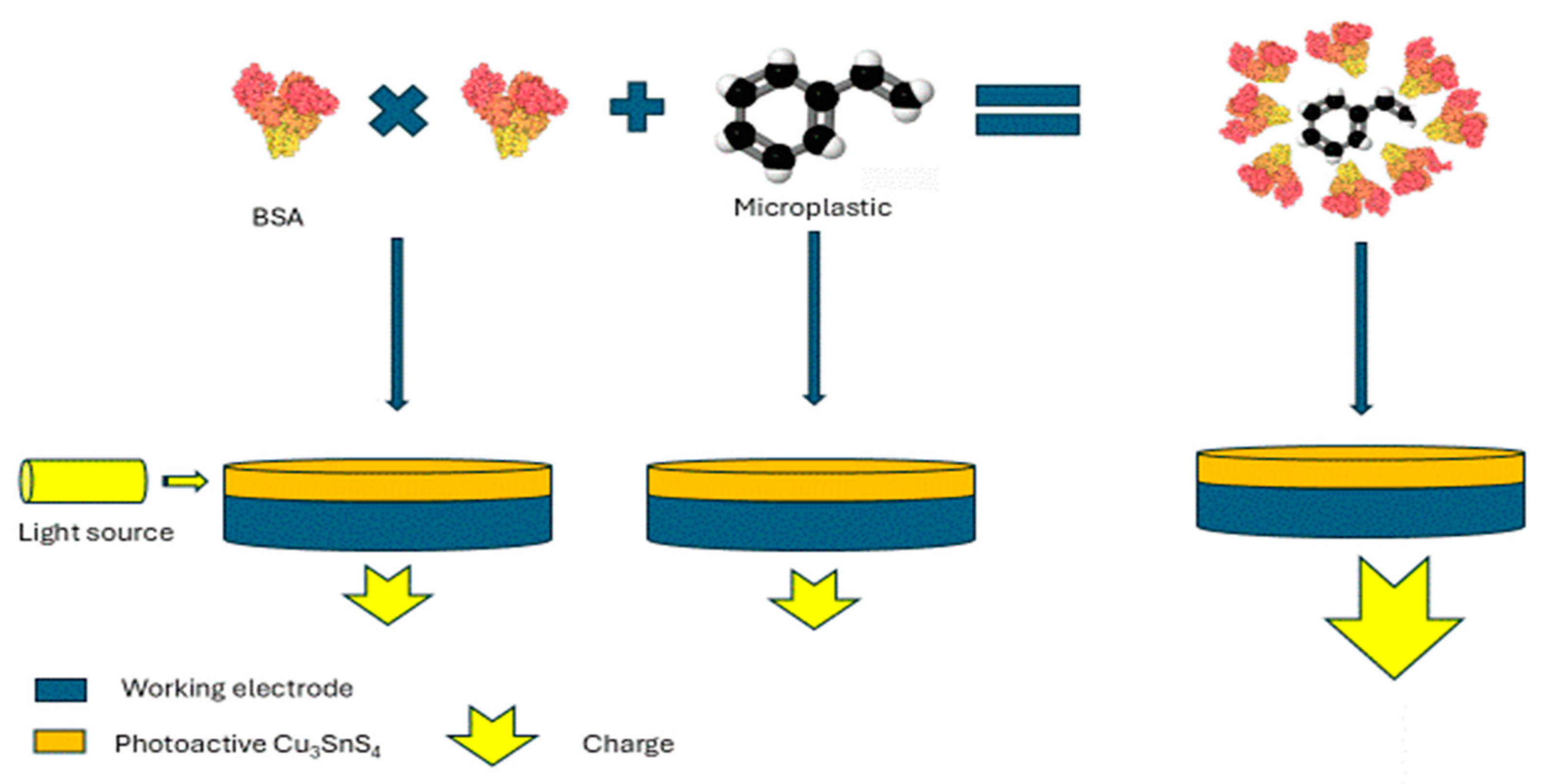 Chemosensors 13 00143 g003