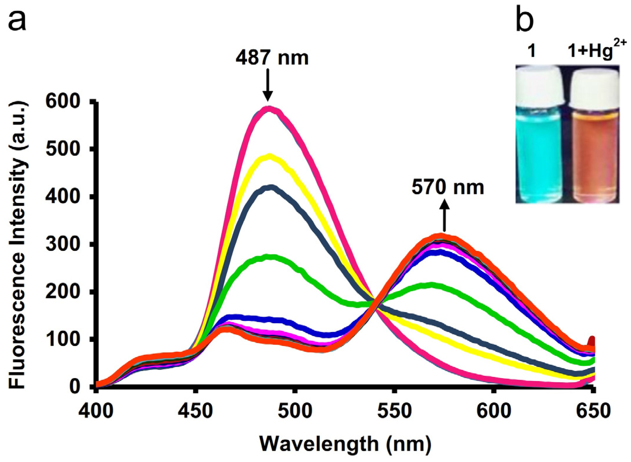 Chemosensors 13 00145 g009