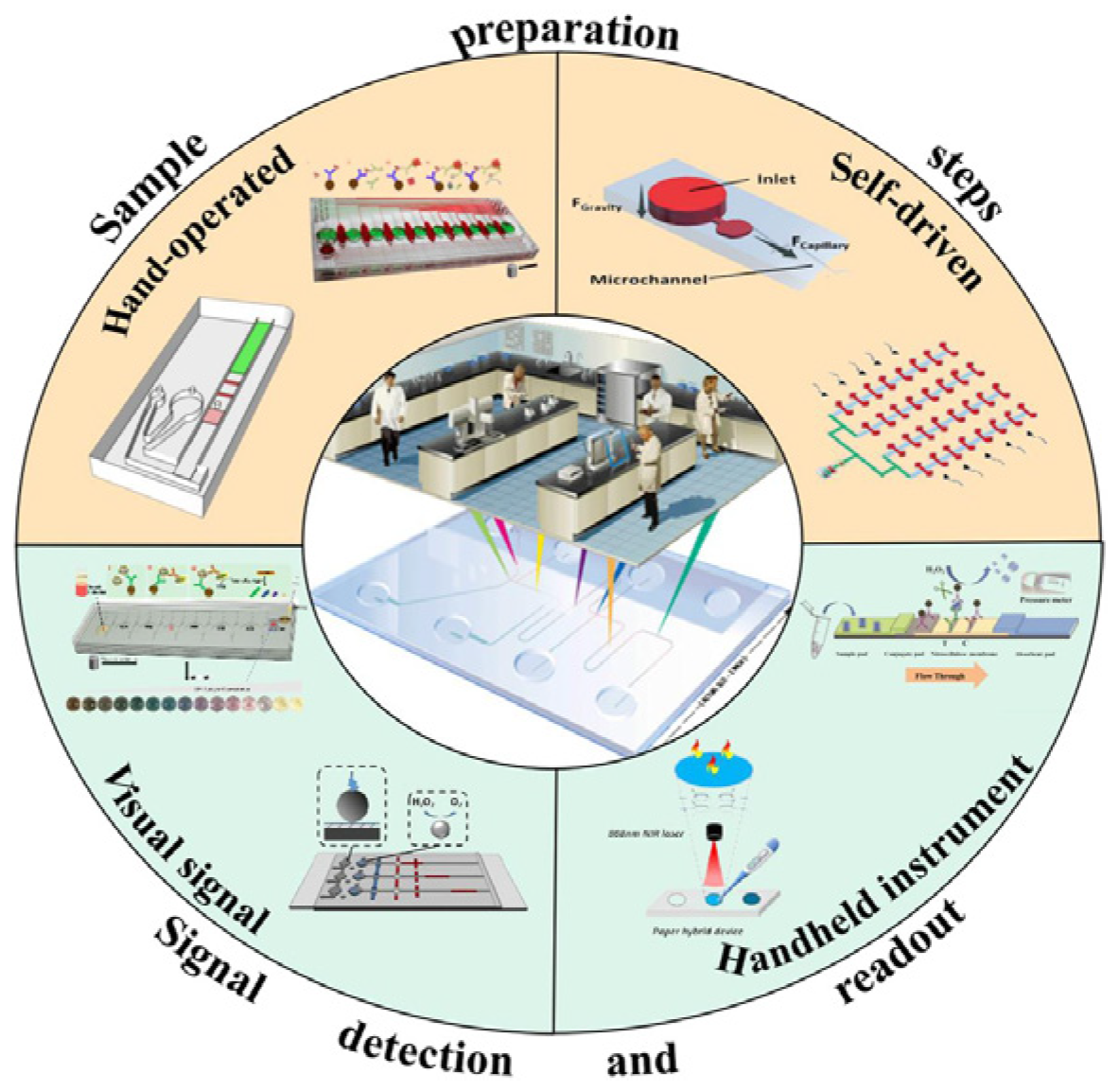 Chemosensors 13 00149 g003