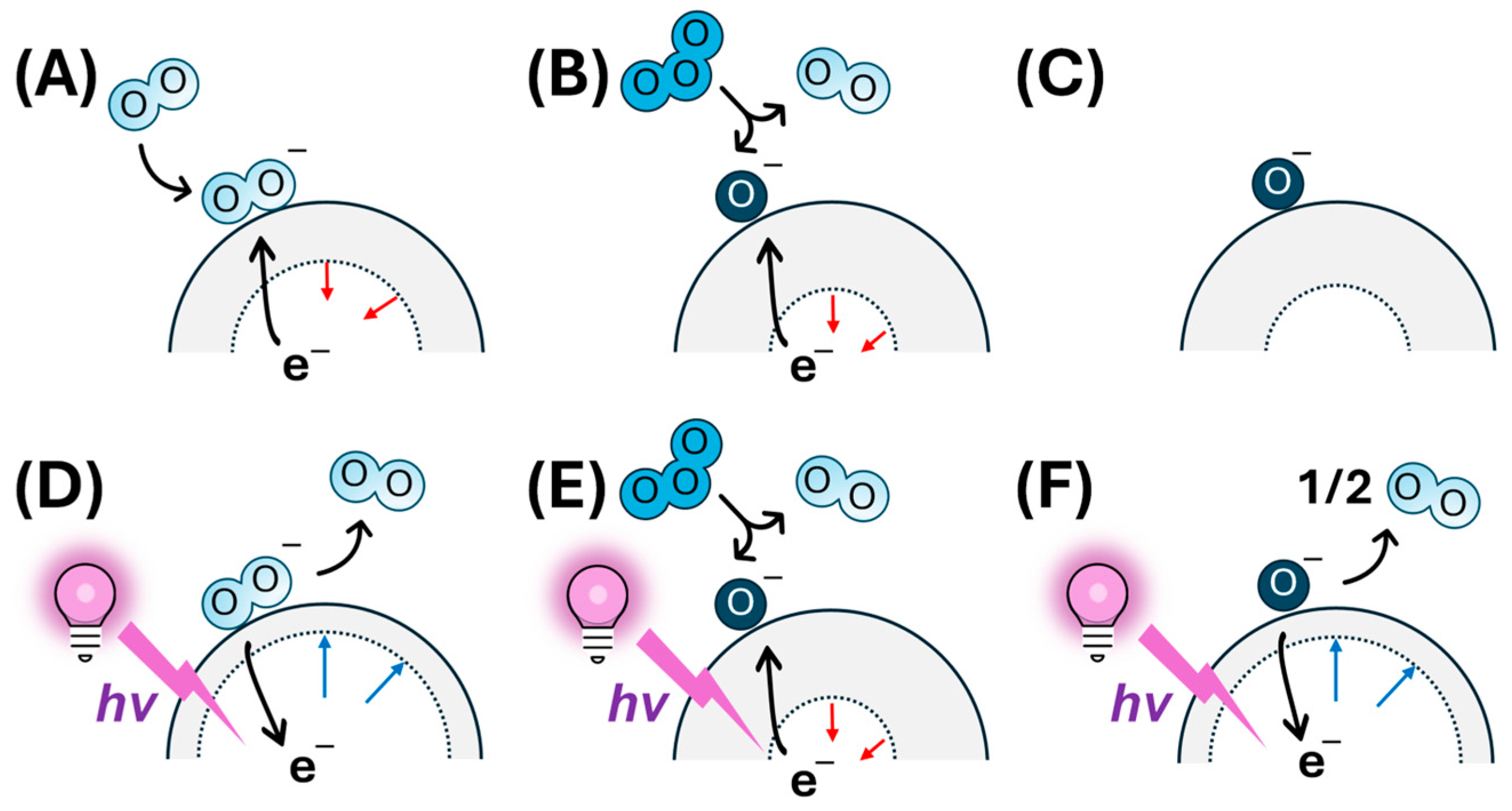 Chemosensors 13 00152 g009