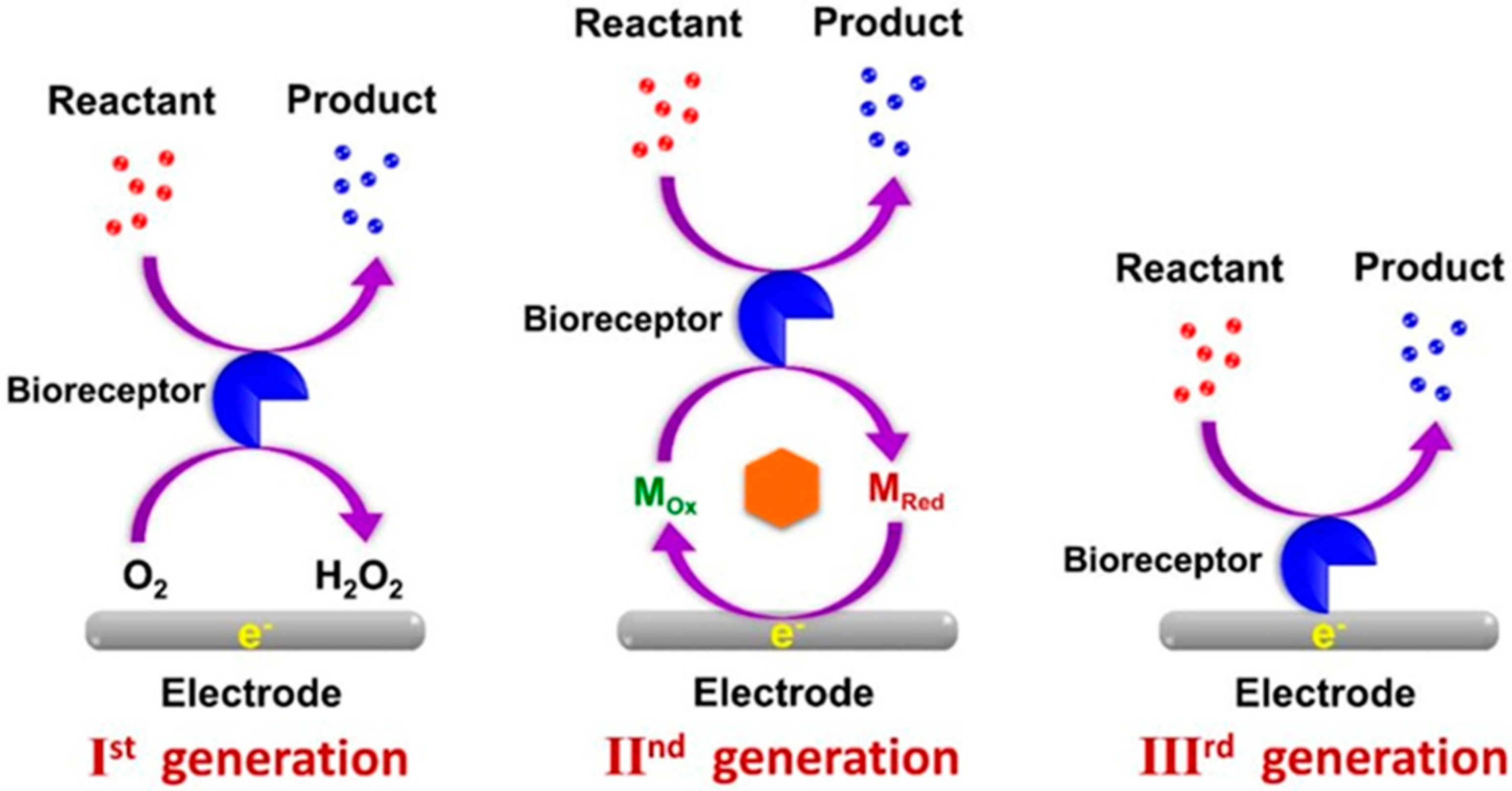 Chemosensors 13 00159 g001
