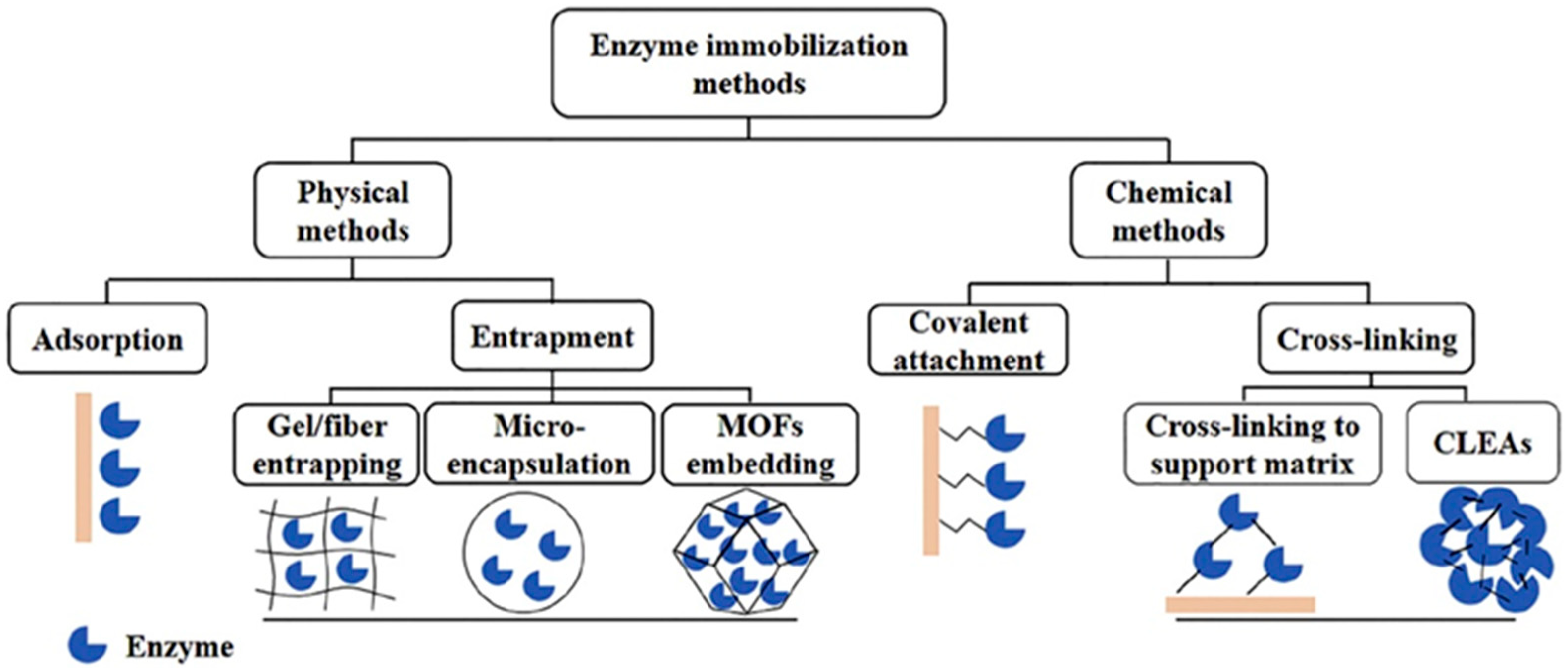 Chemosensors 13 00159 g002