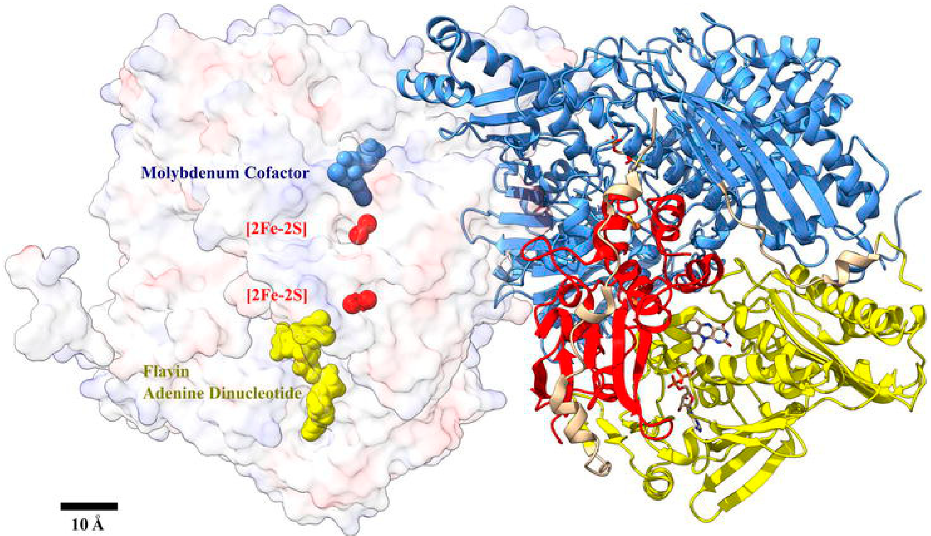 Chemosensors 13 00159 g003