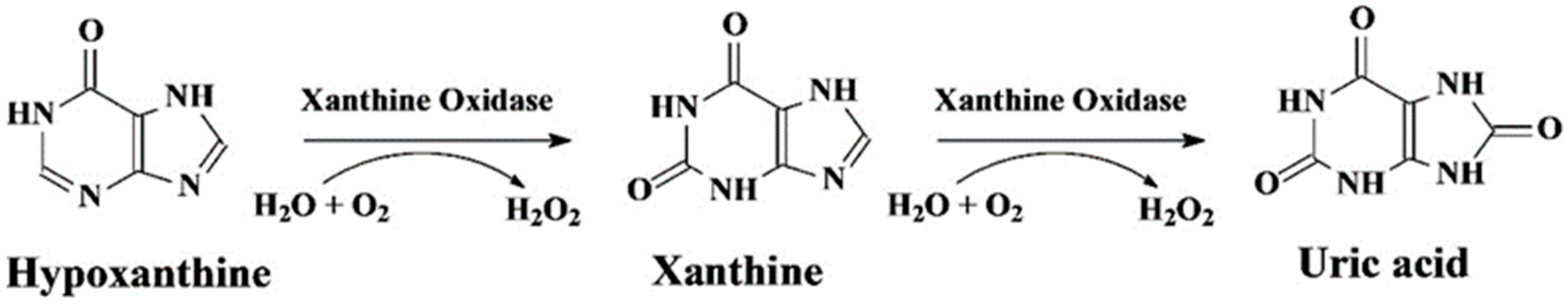 Chemosensors 13 00159 g004