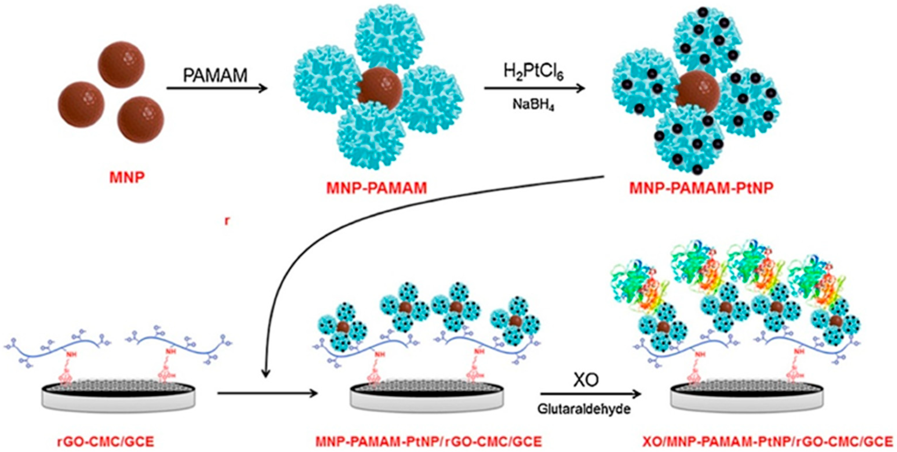 Chemosensors 13 00159 g005