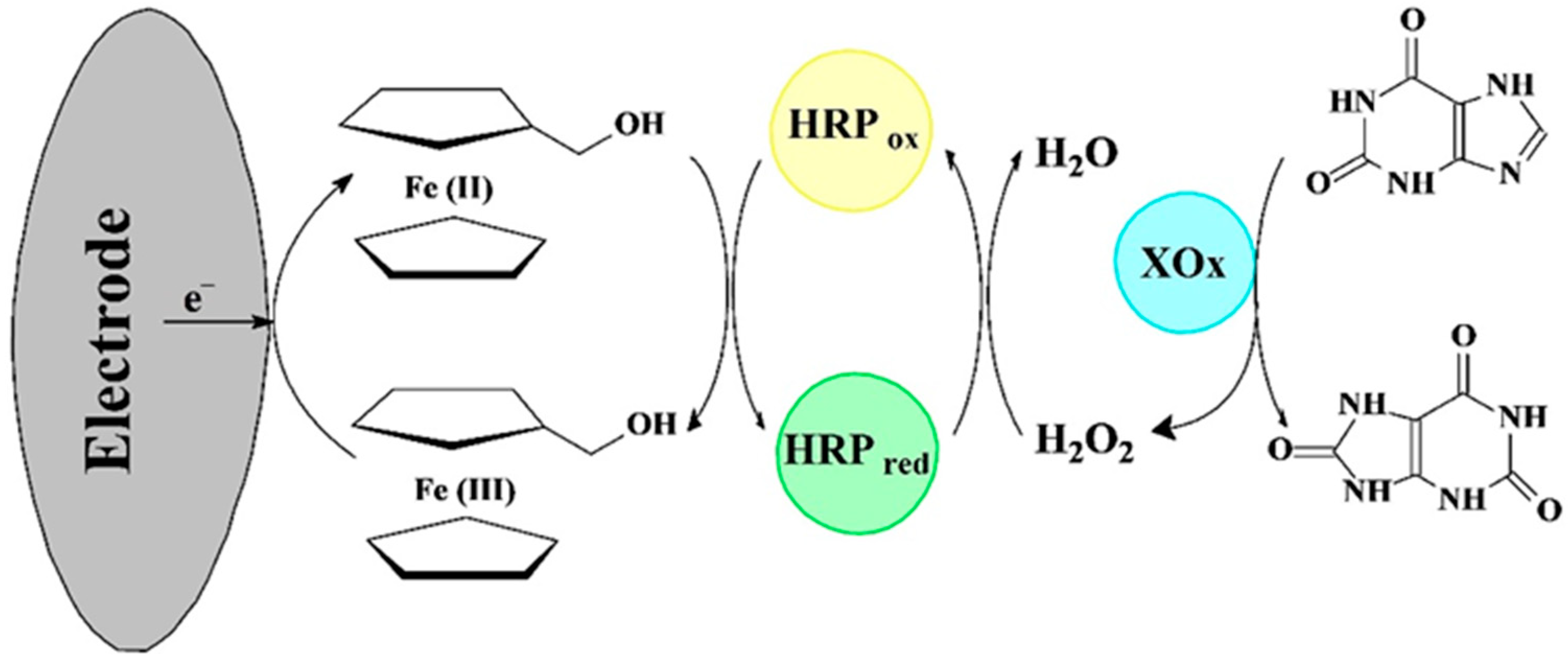 Chemosensors 13 00159 g007