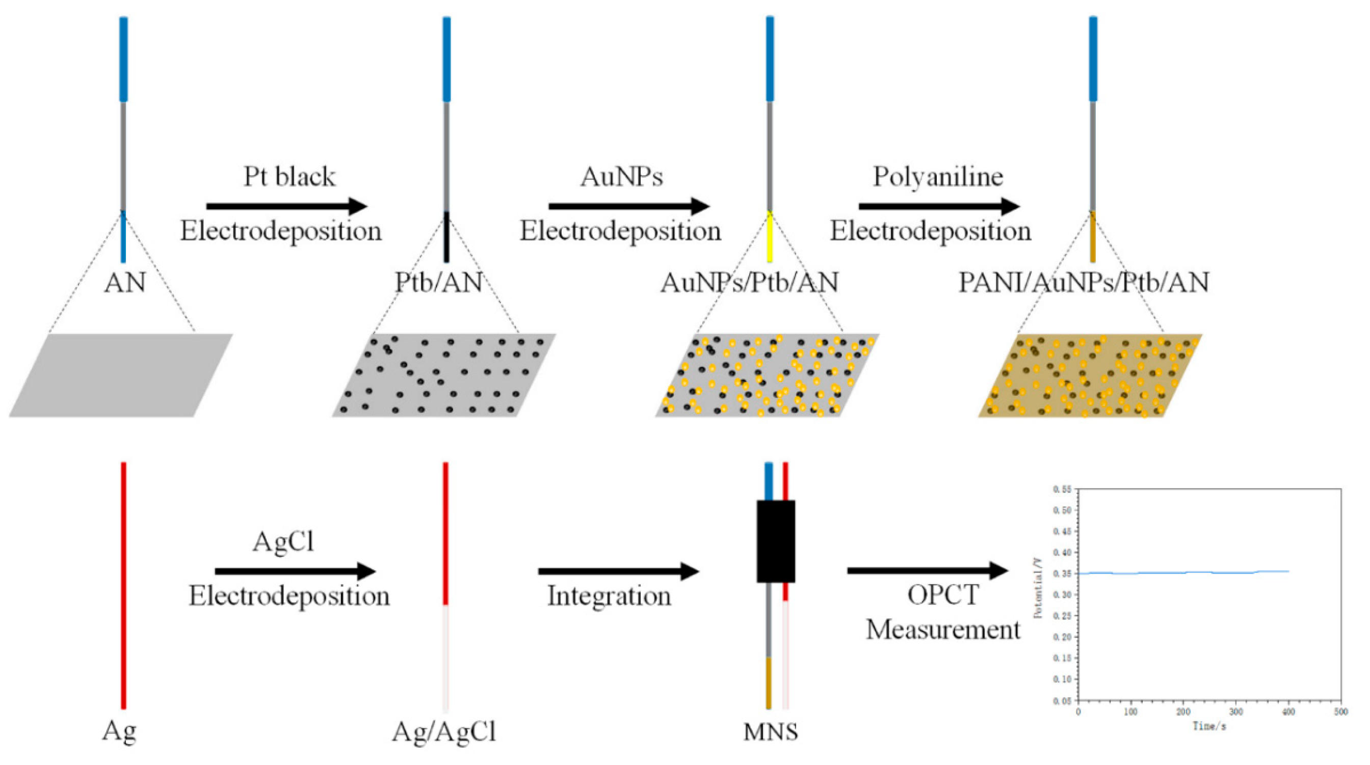 Chemosensors 13 00160 g003