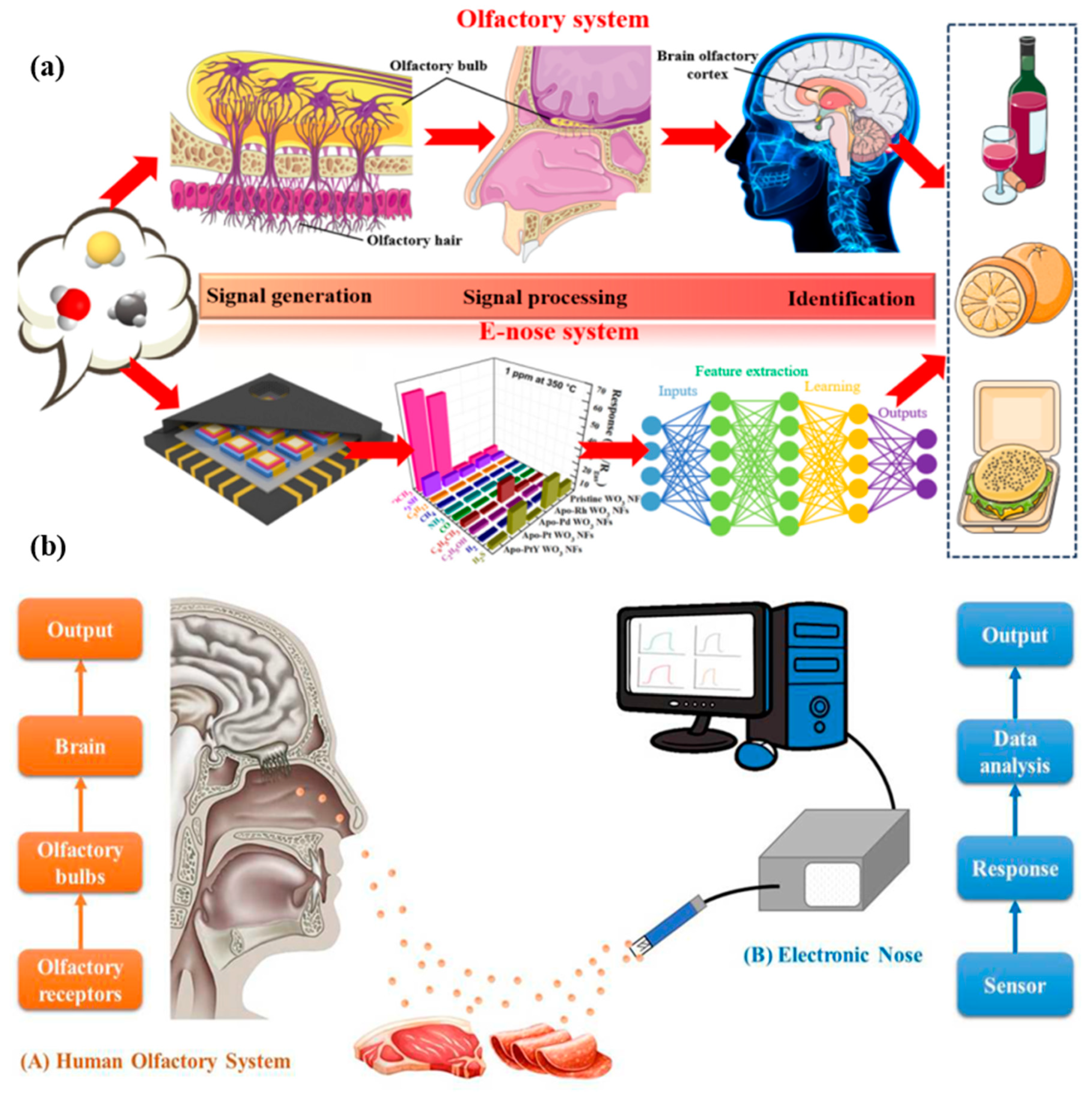 Chemosensors 13 00161 g002