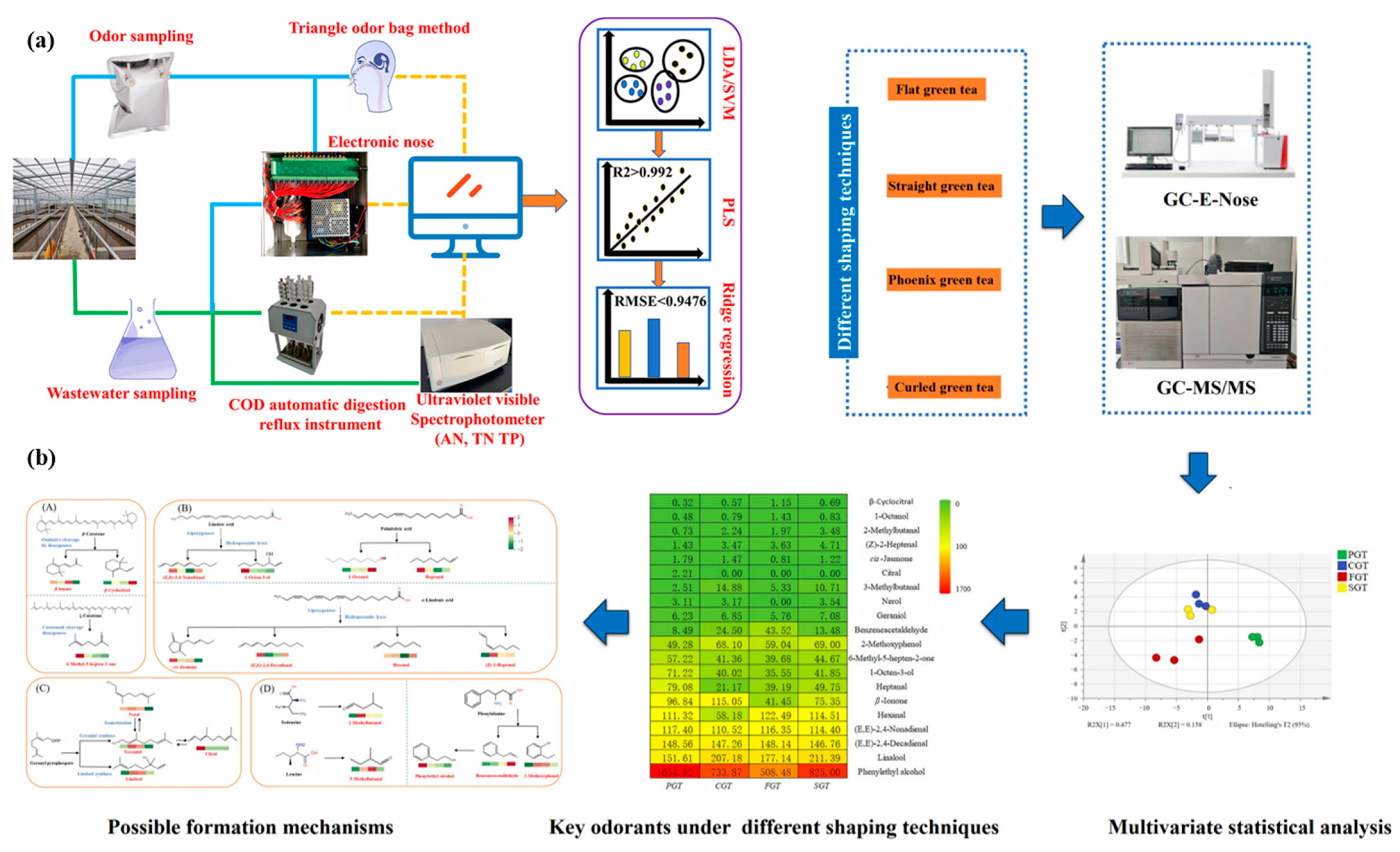 Chemosensors 13 00161 g003