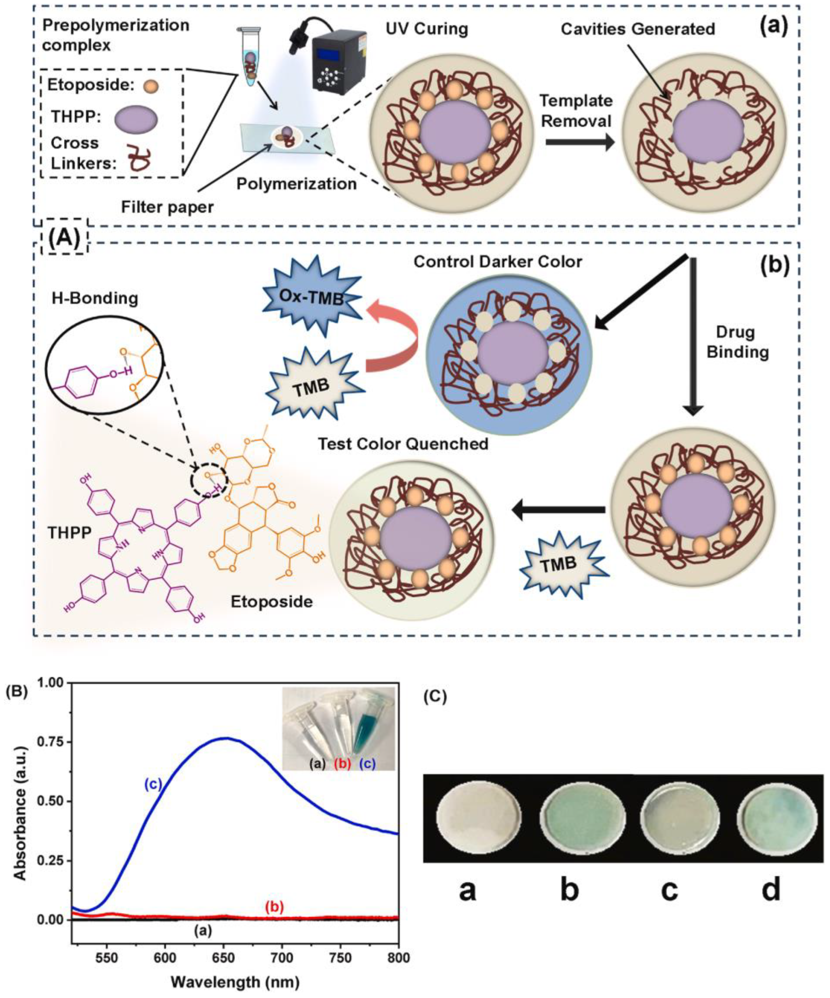 Chemosensors 13 00163 g006