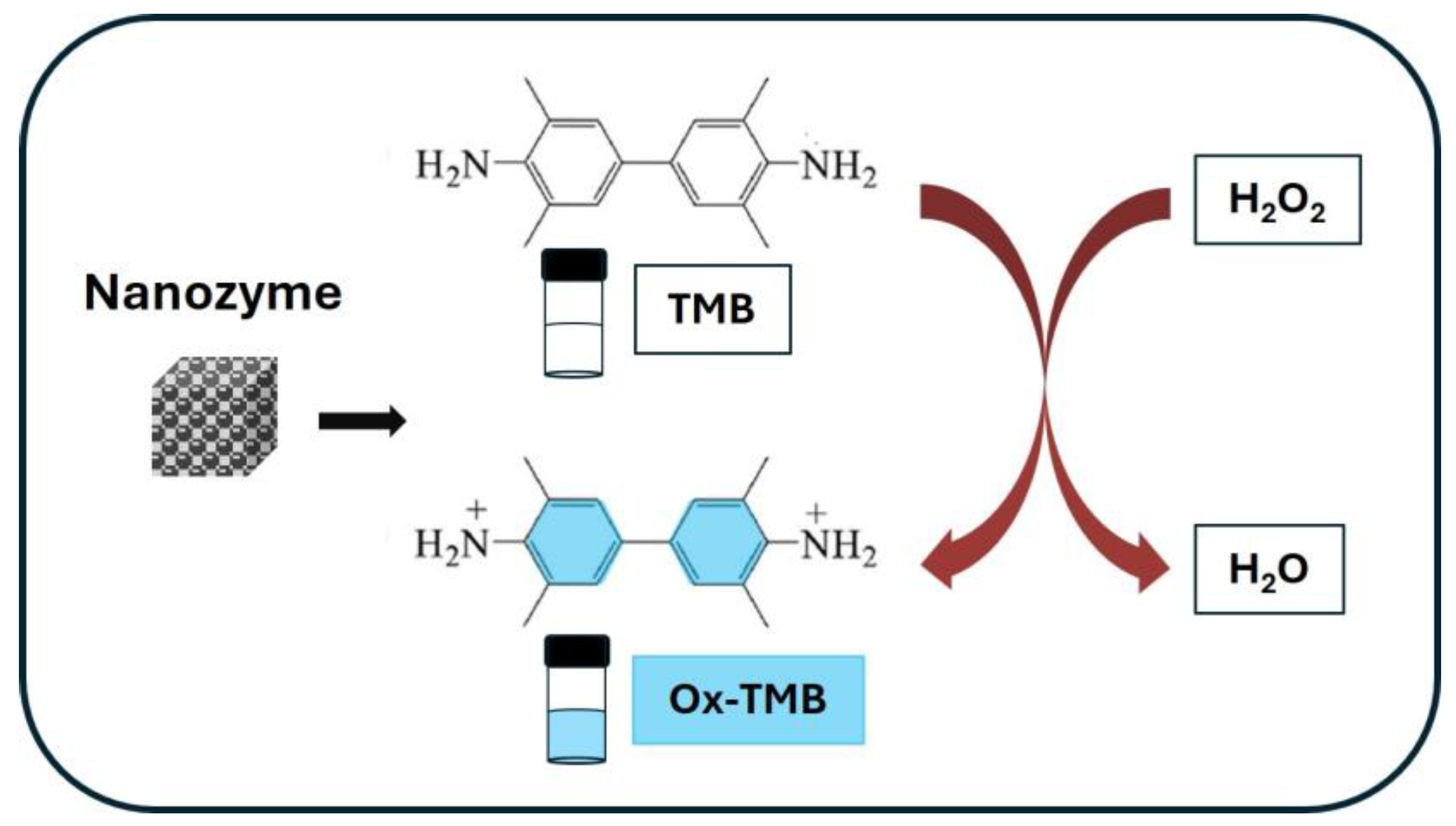 Chemosensors 13 00163 sch004