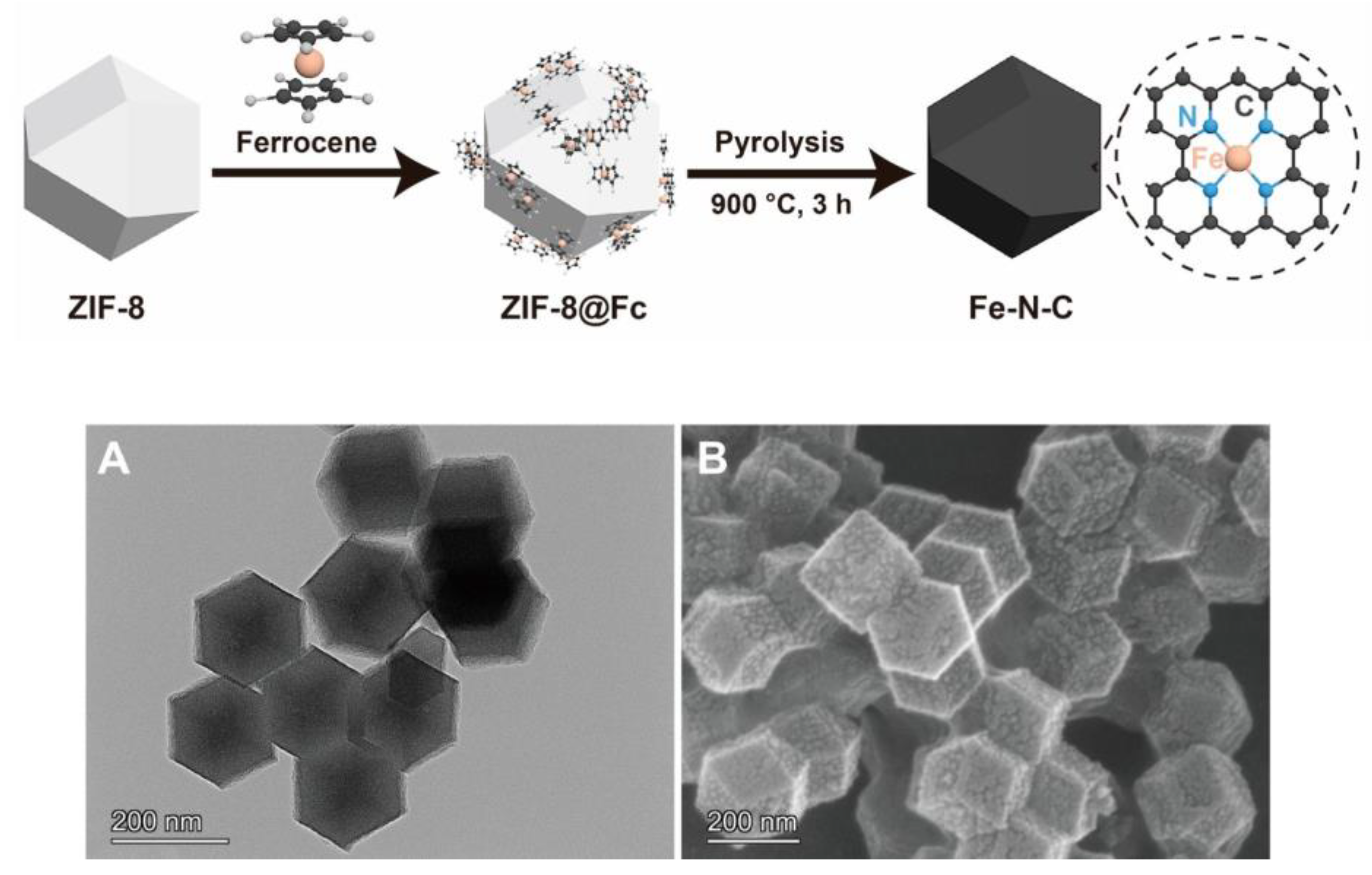 Chemosensors 13 00163 sch005