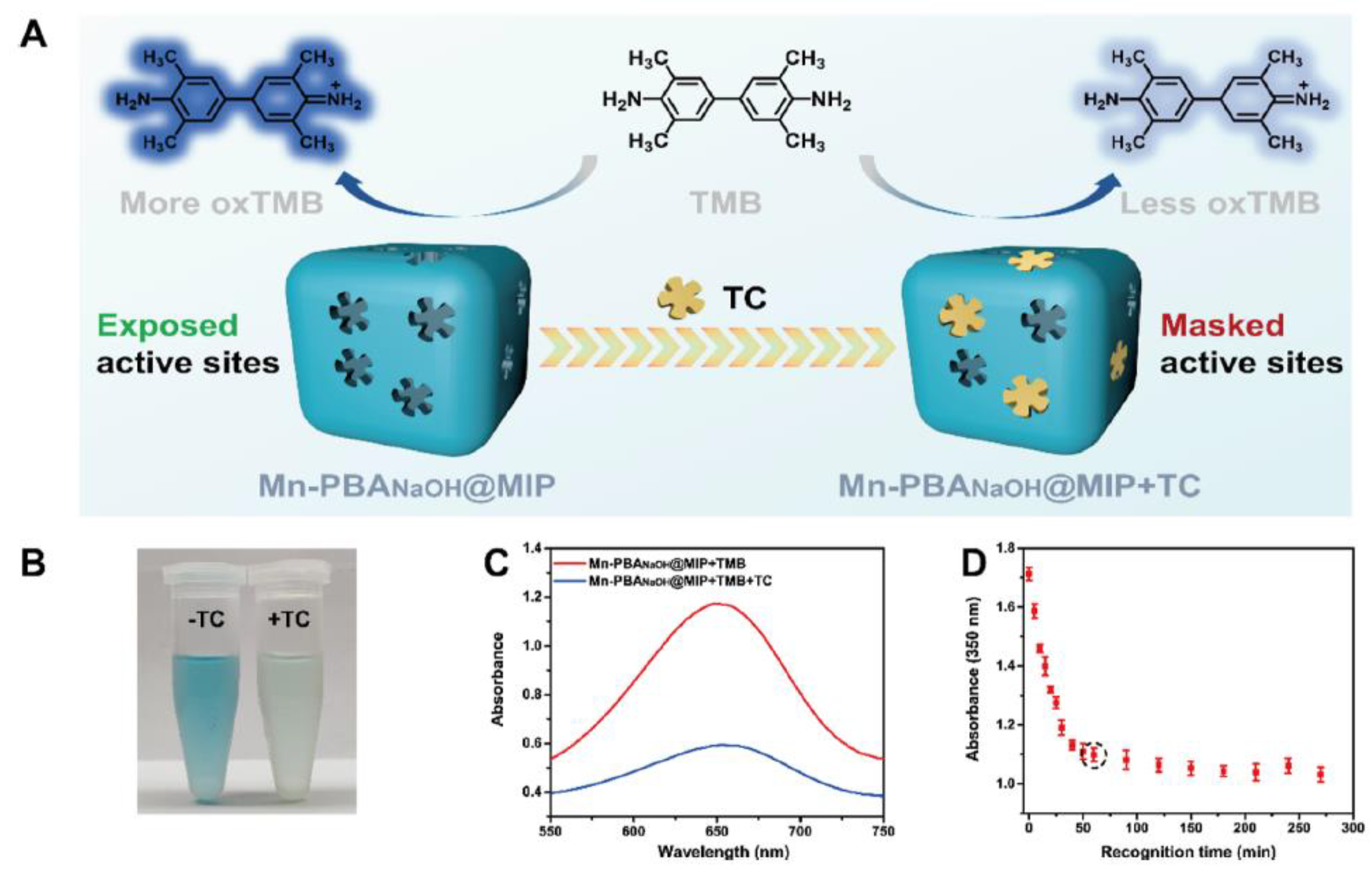 Chemosensors 13 00163 sch007
