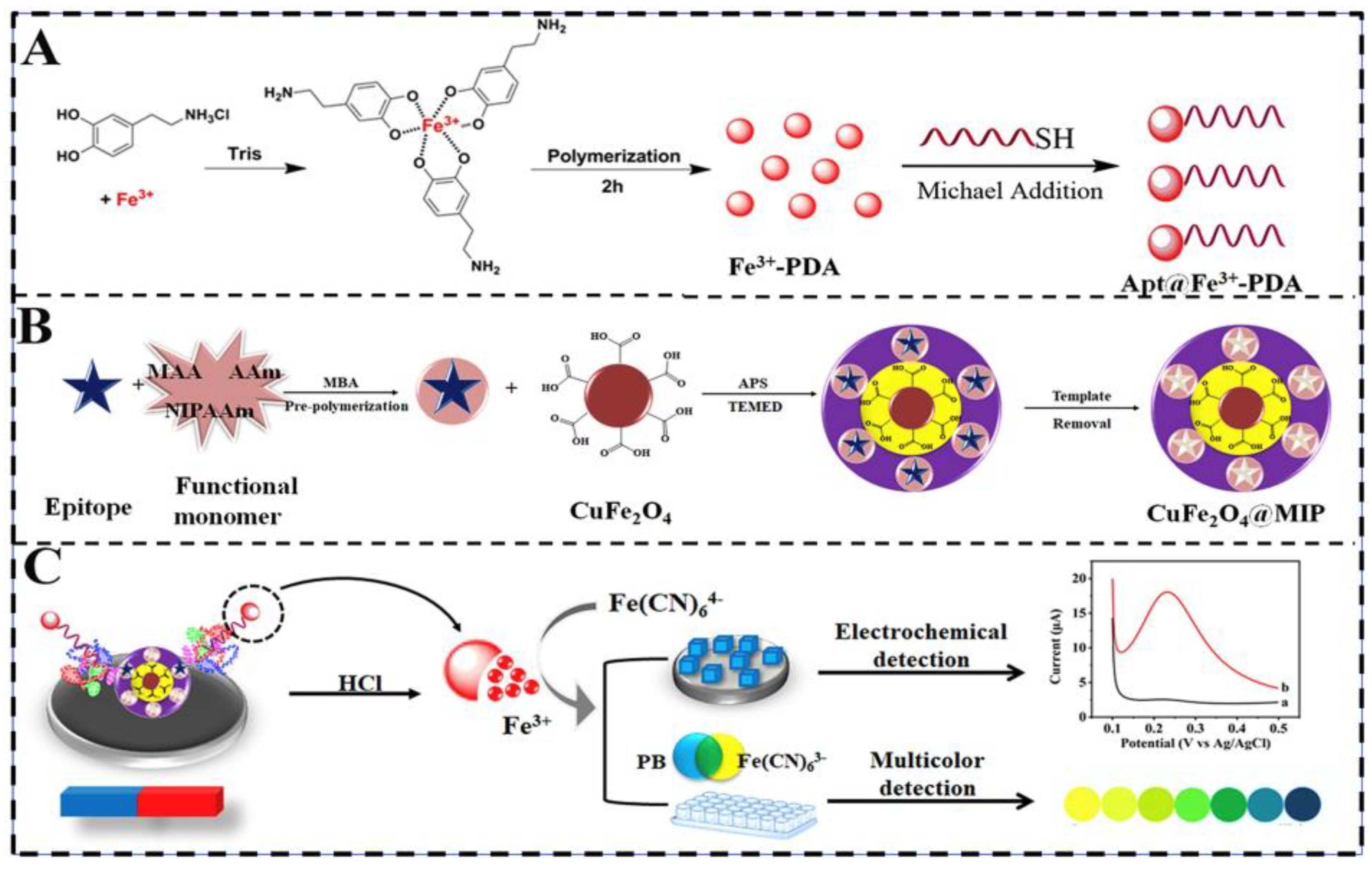 Chemosensors 13 00163 sch012