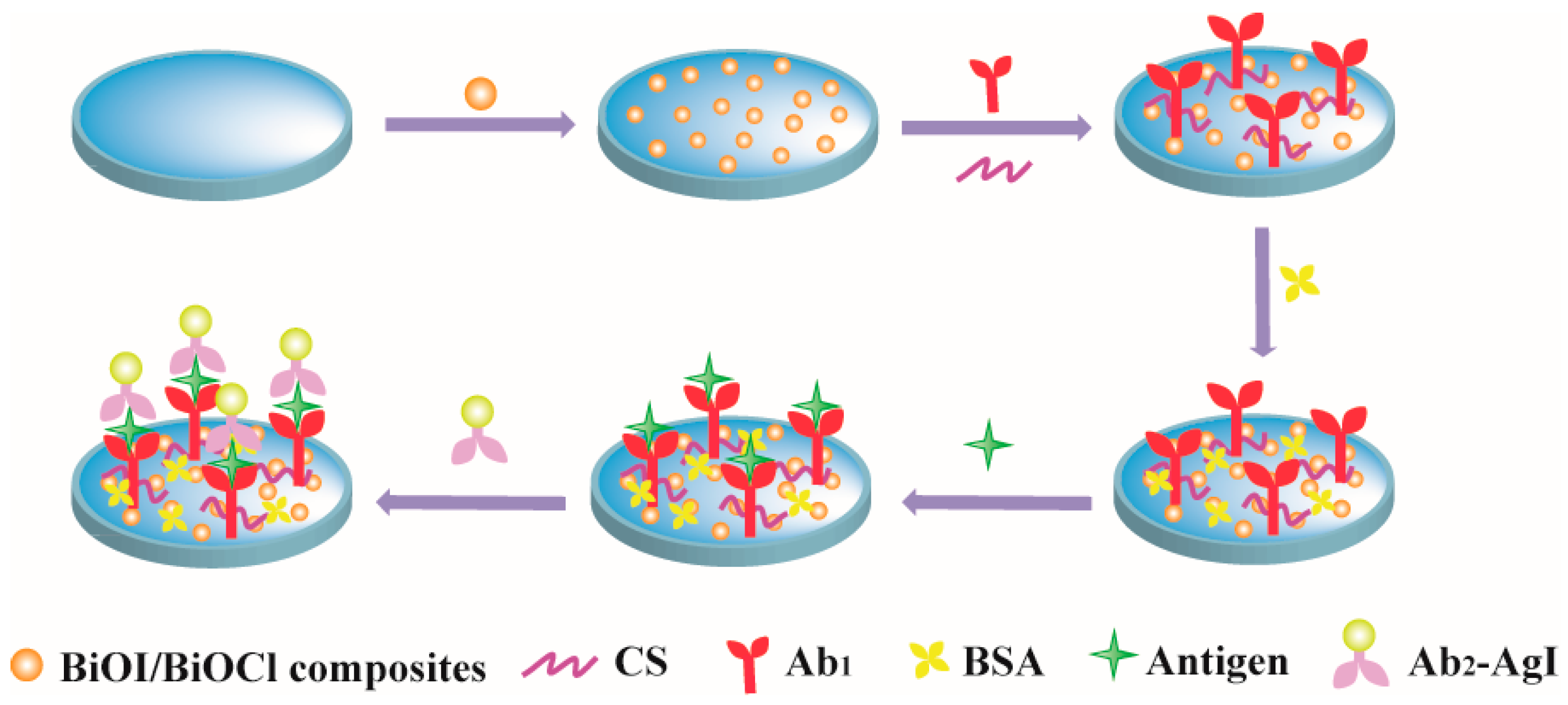 Chemosensors 13 00164 sch001