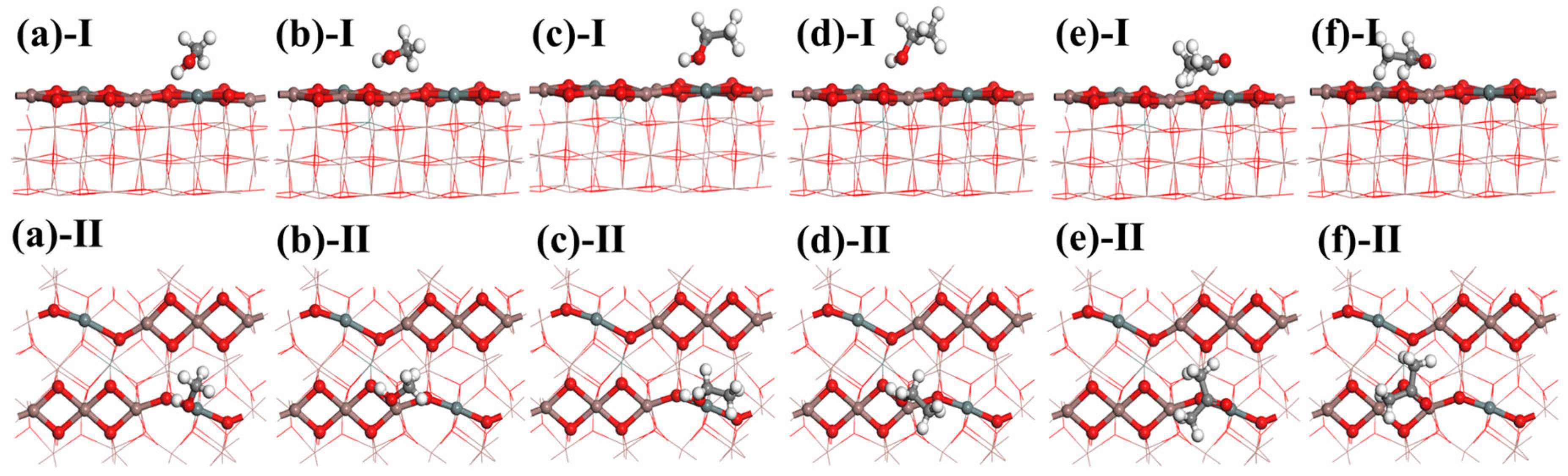 Chemosensors 13 00169 g008