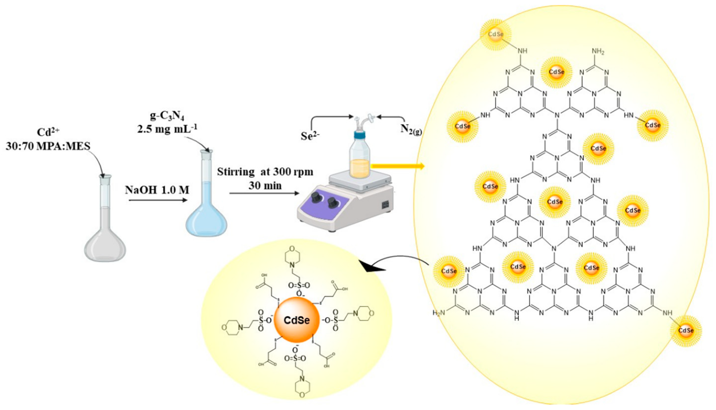 Chemosensors 13 00171 sch001