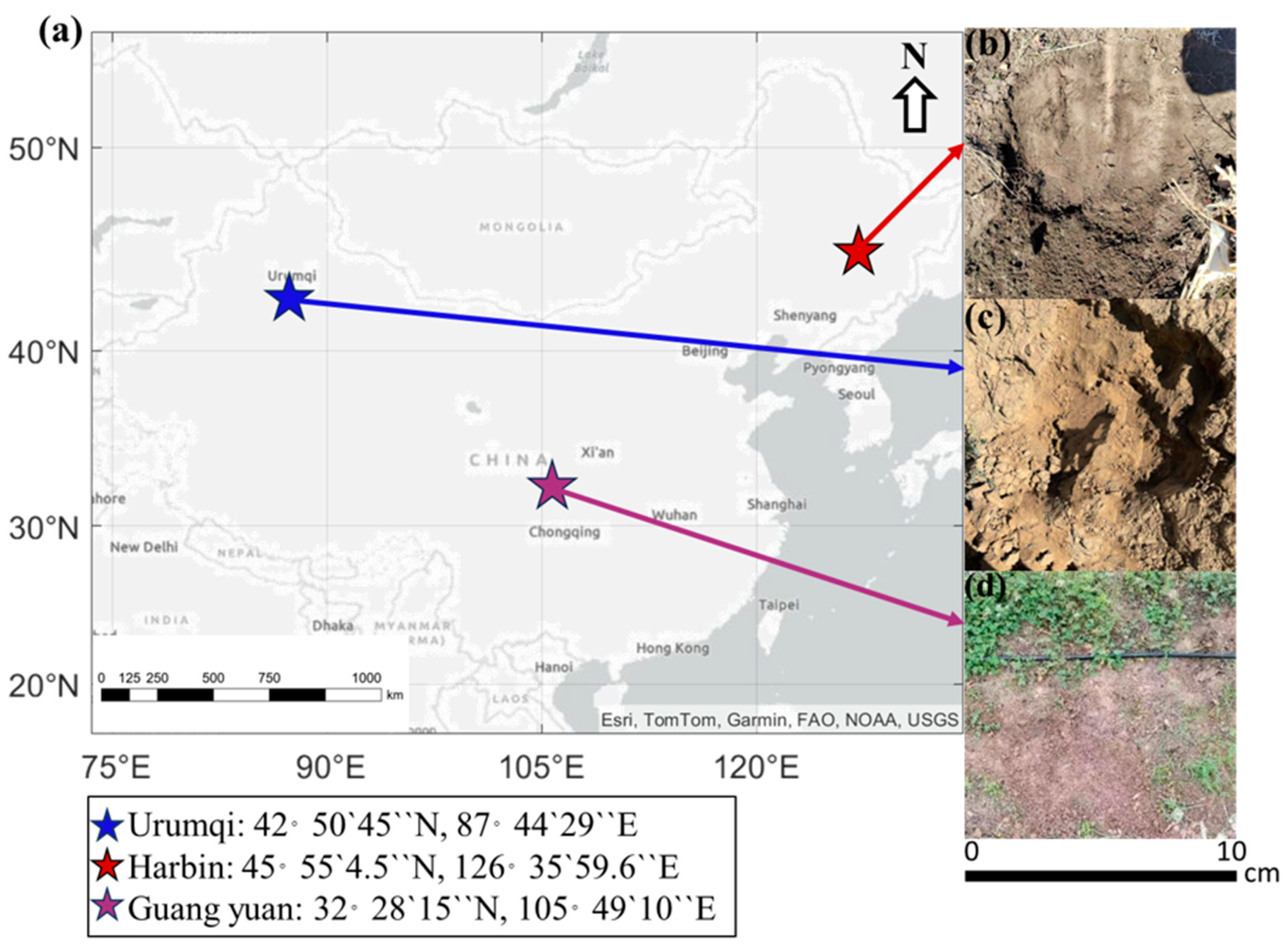 Chemosensors 13 00173 g001