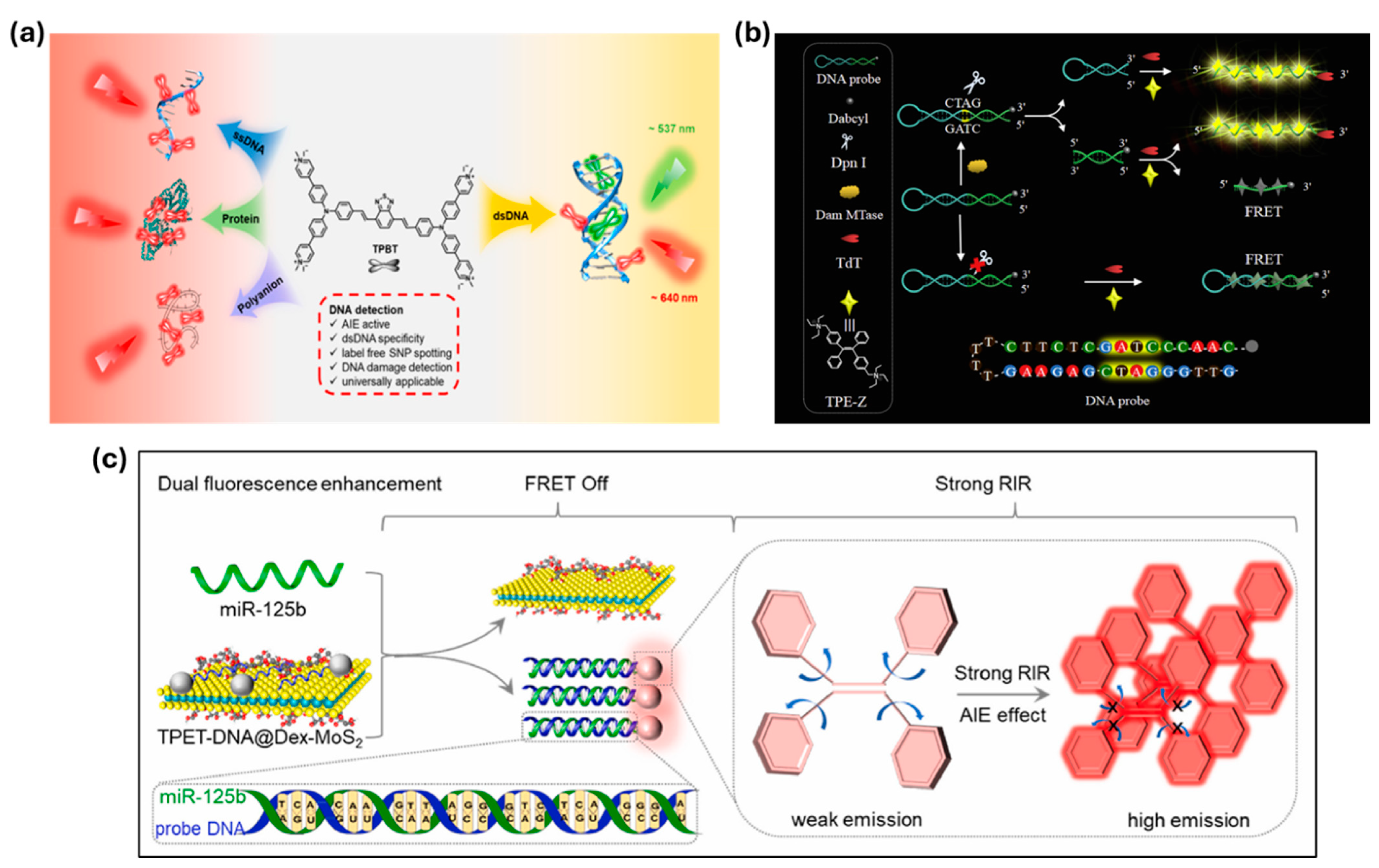 Chemosensors 13 00174 g003