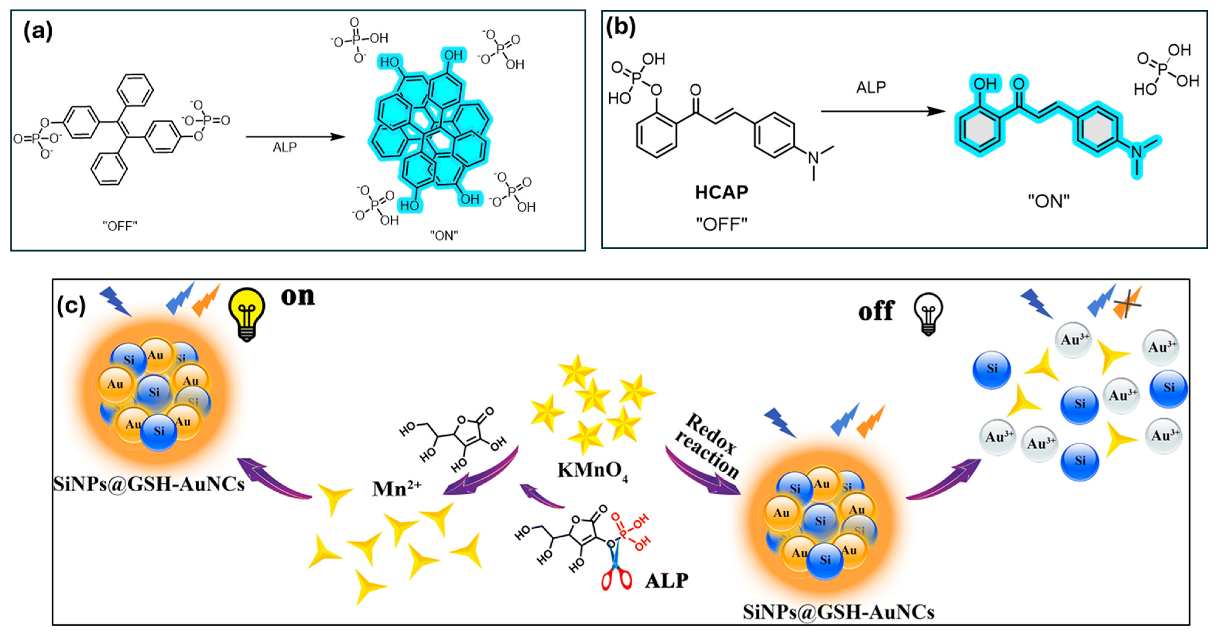 Chemosensors 13 00174 g004