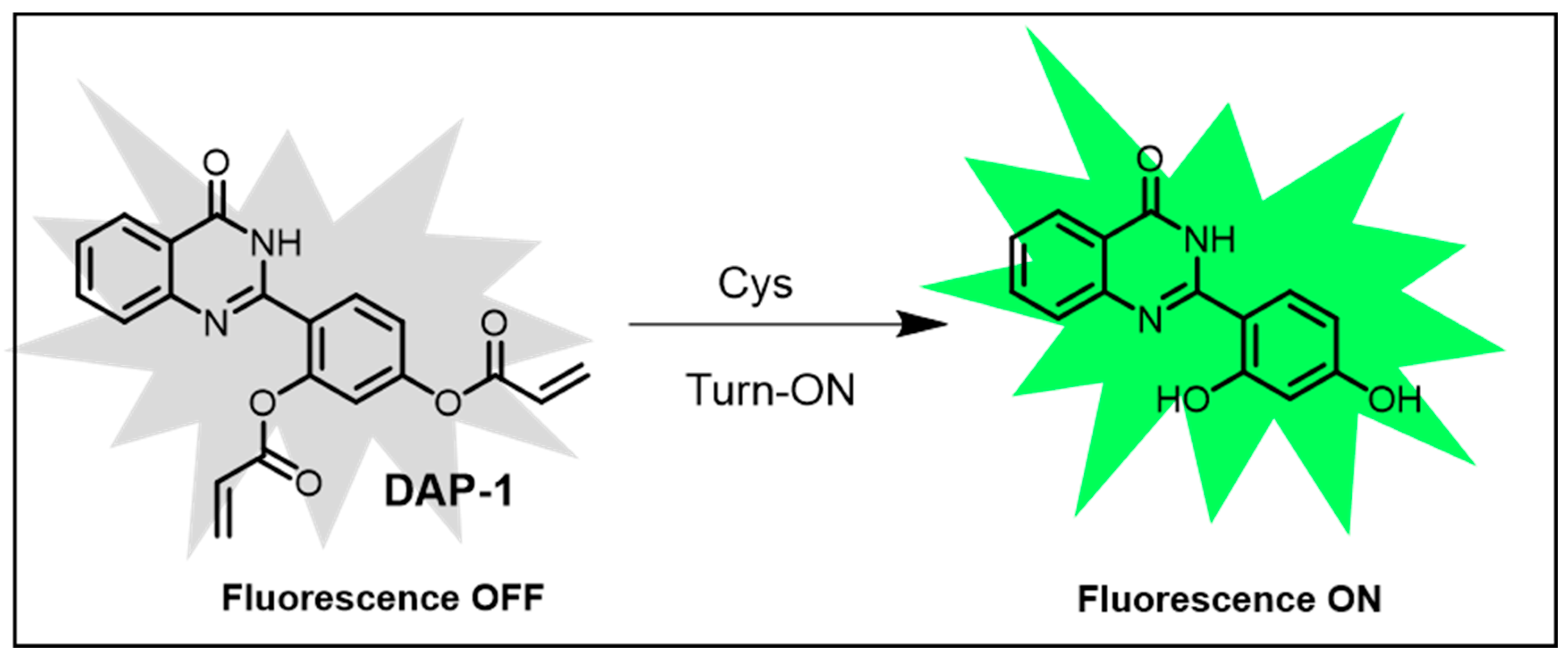Chemosensors 13 00174 g006