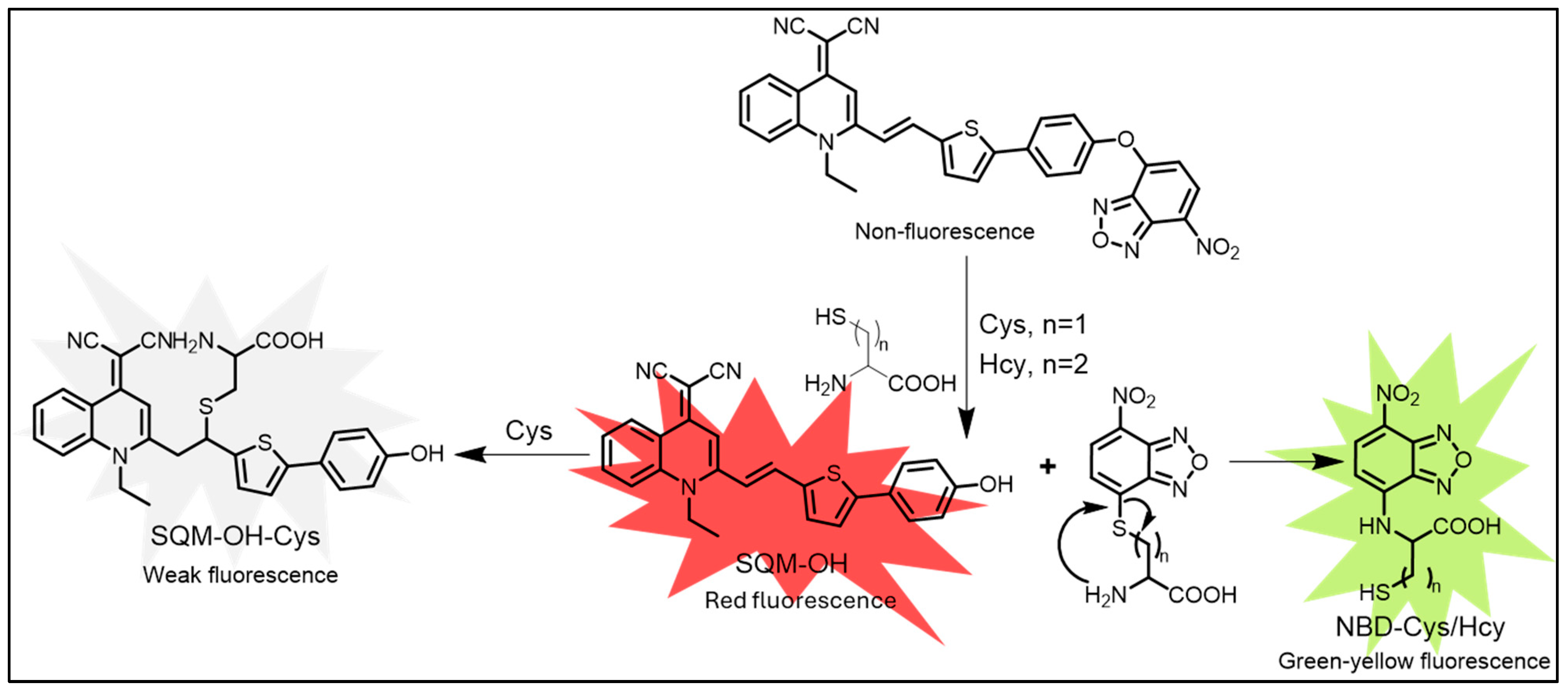 Chemosensors 13 00174 g007
