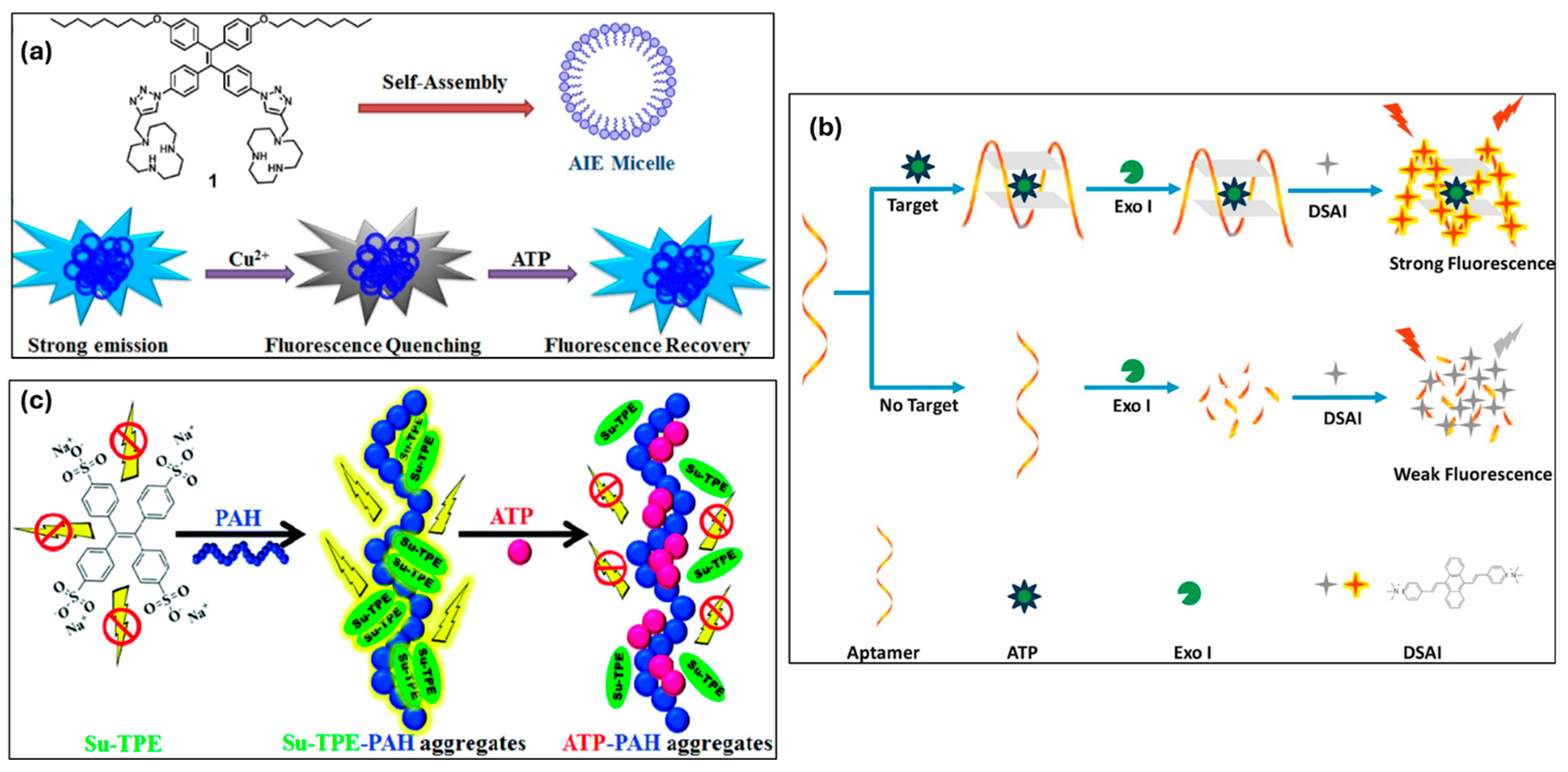 Chemosensors 13 00174 g011