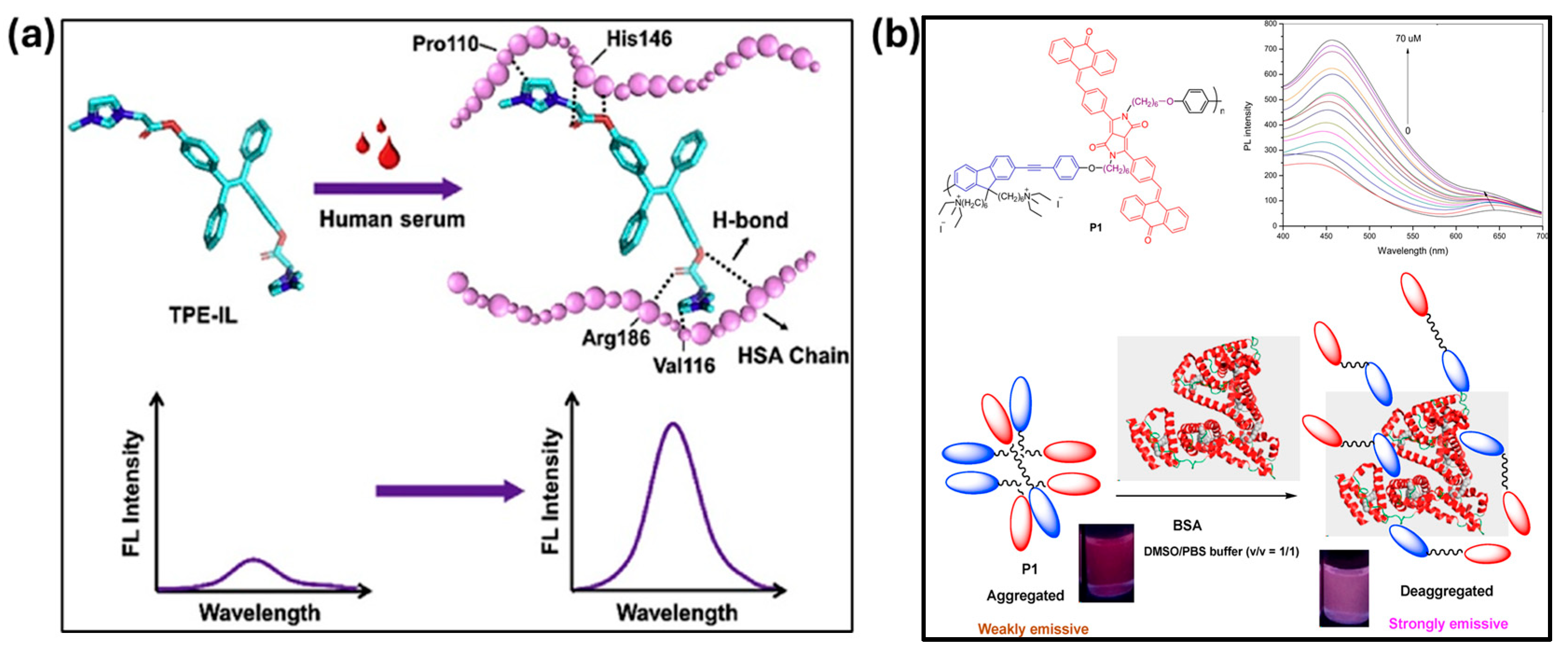 Chemosensors 13 00174 g013