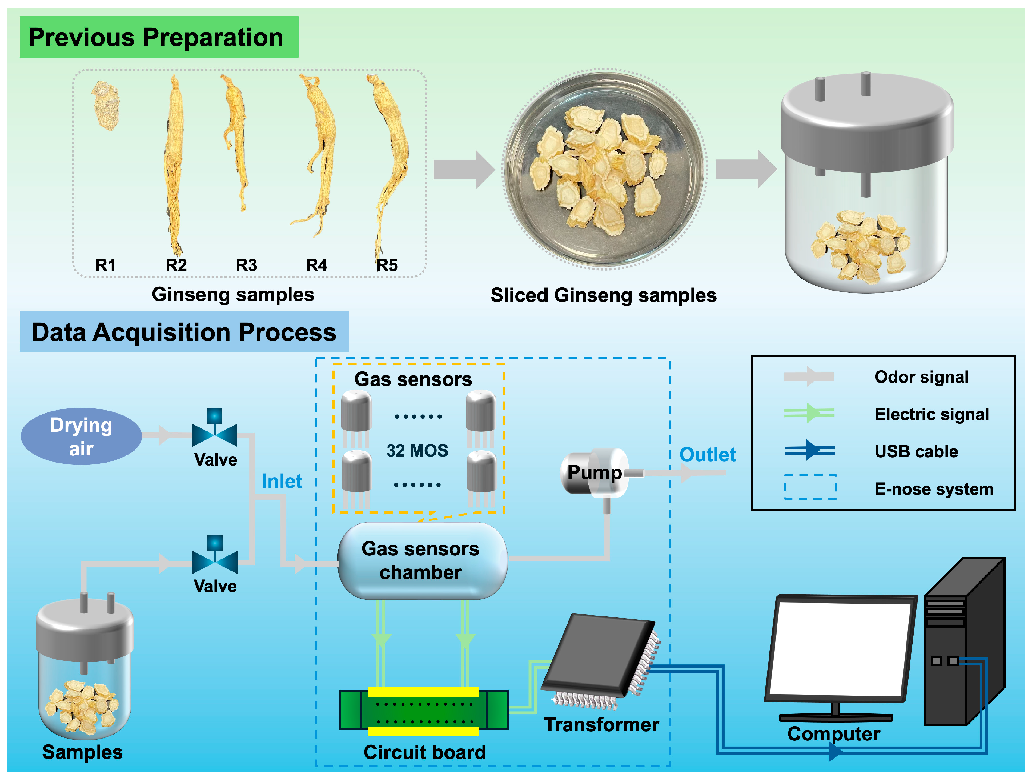Chemosensors 13 00176 g002