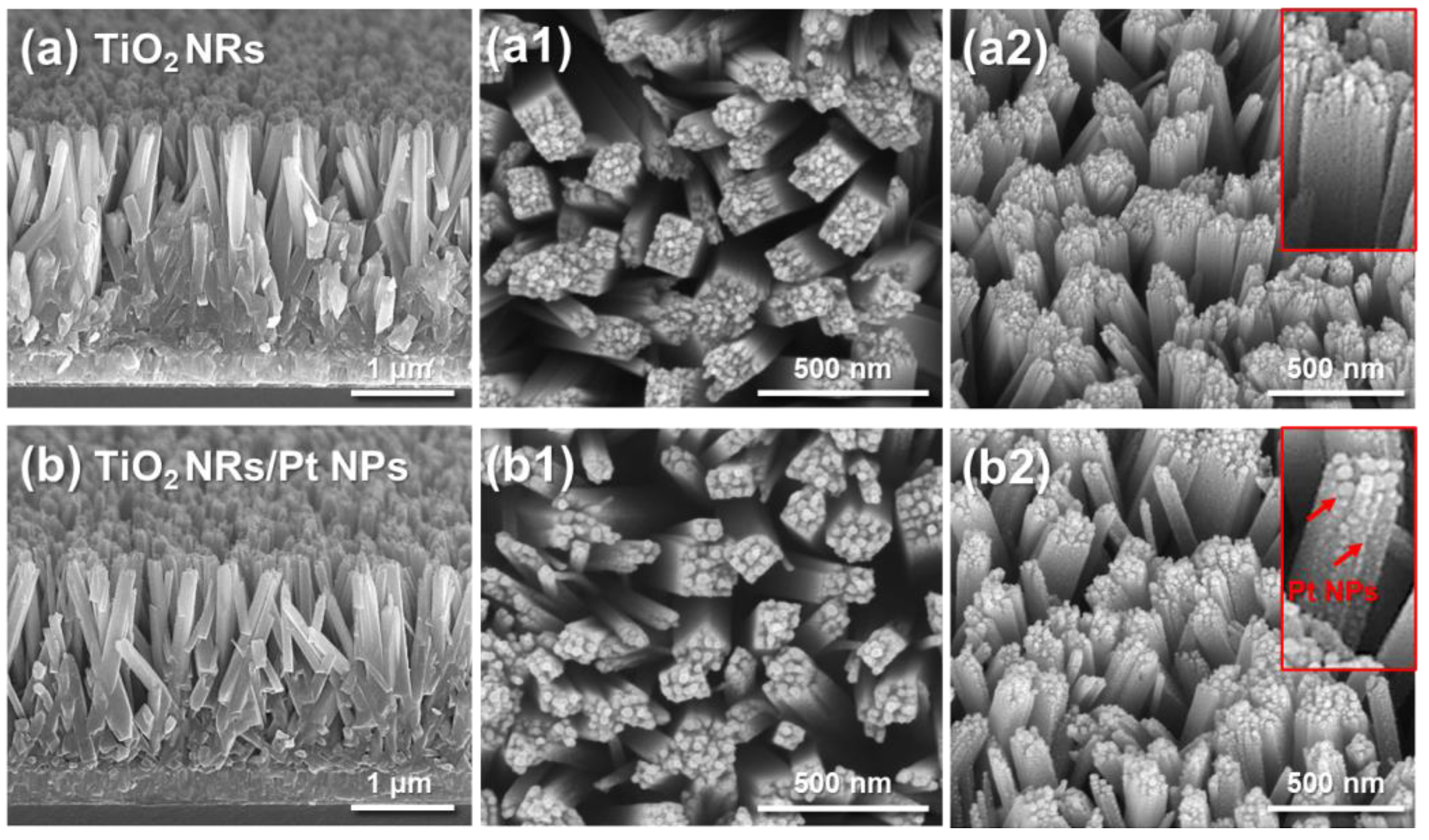 Chemosensors 13 00177 g002