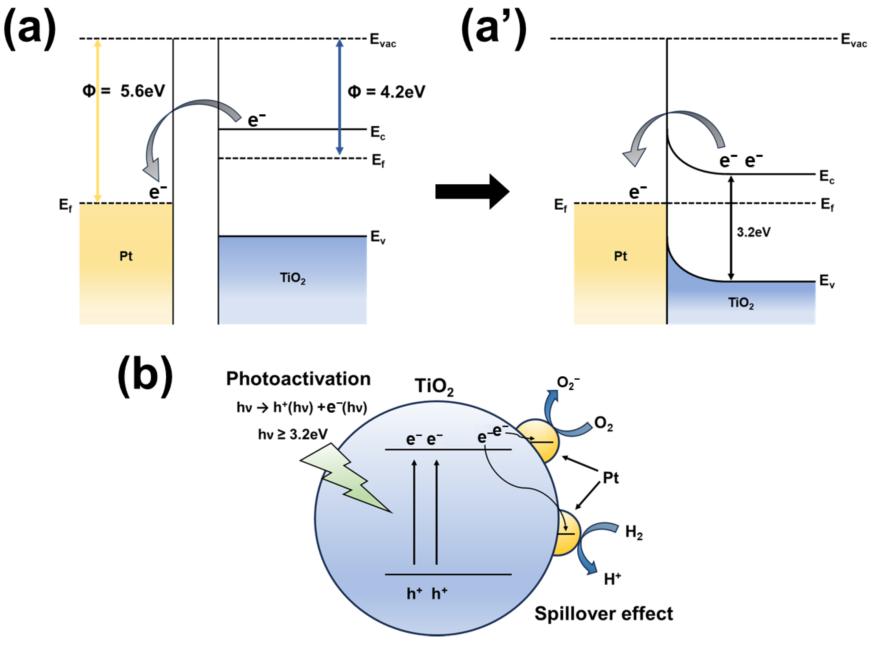Chemosensors 13 00177 g007