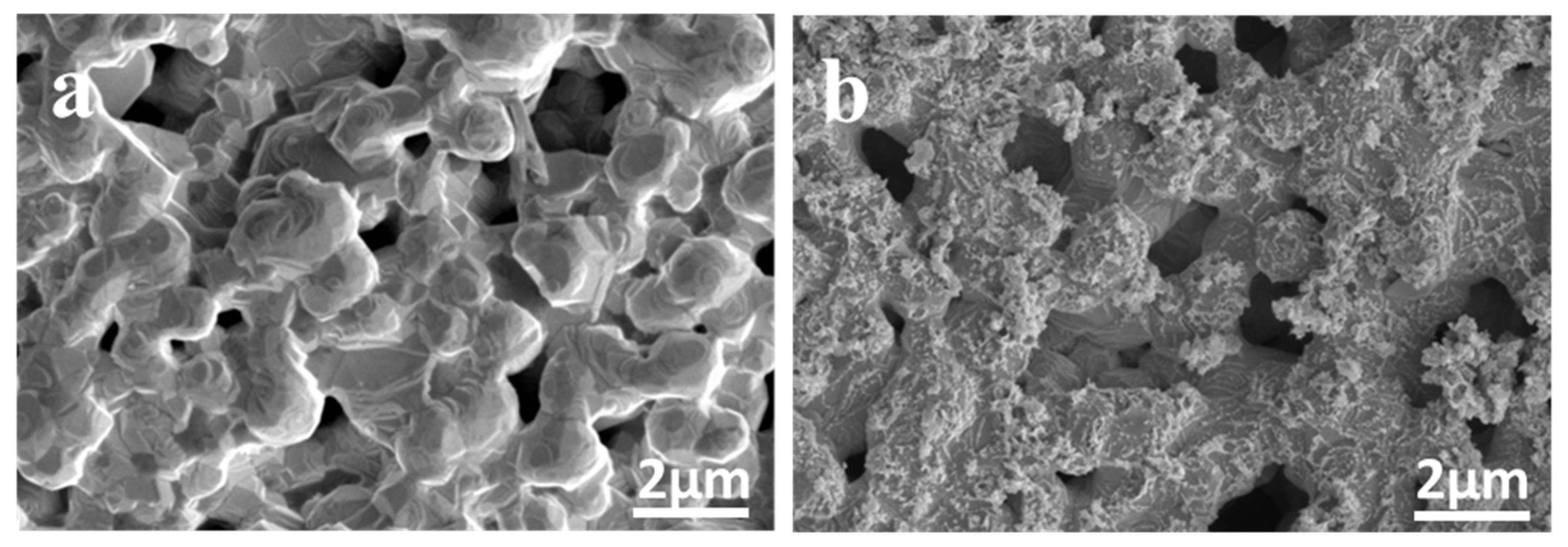 Chemosensors 13 00180 g004