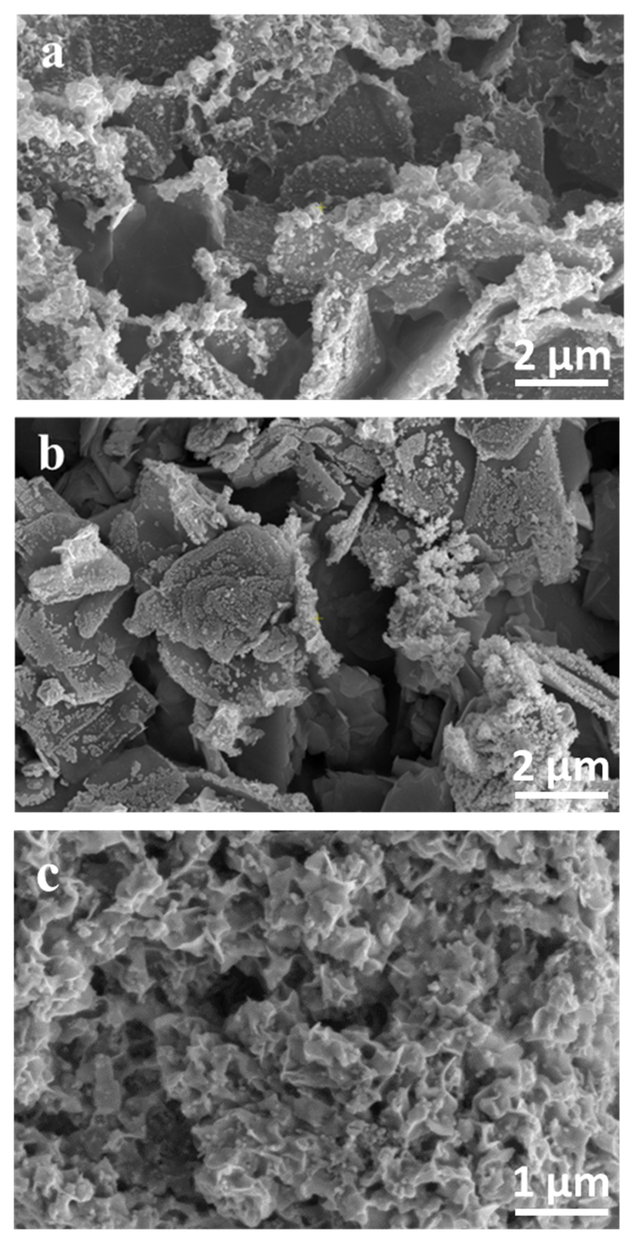 Chemosensors 13 00180 g005