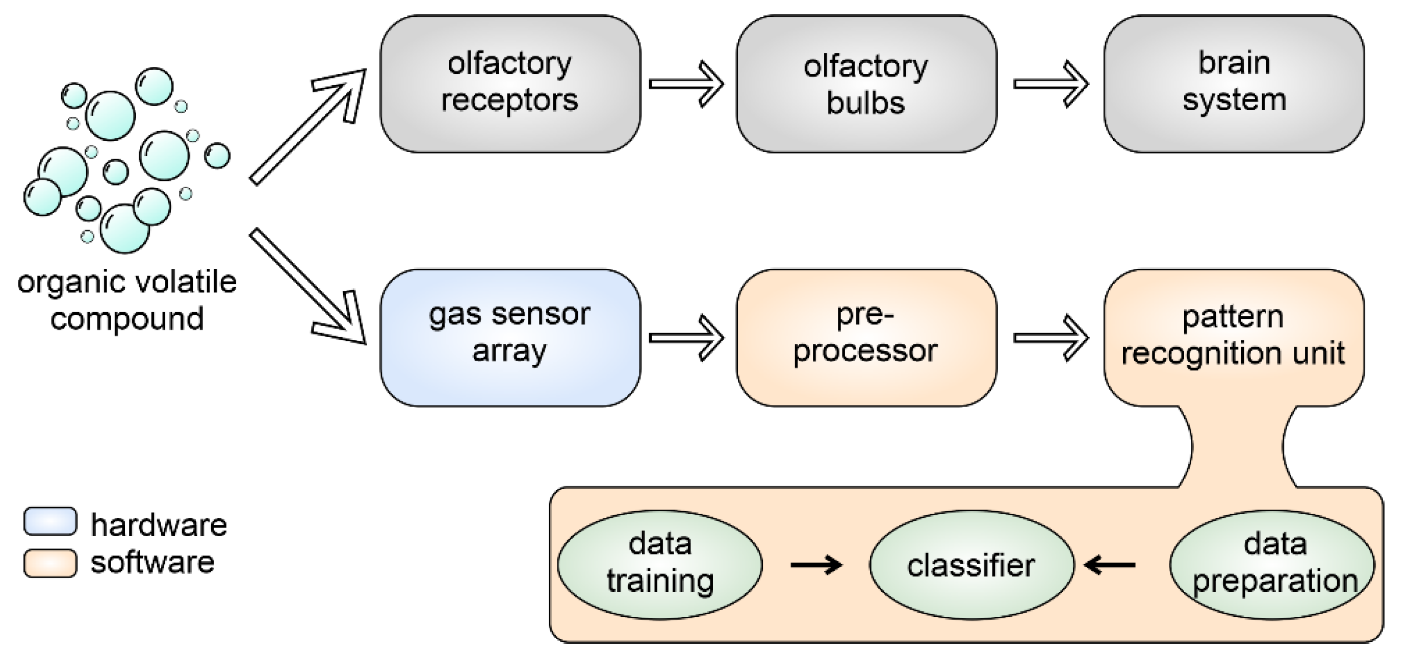 Chemosensors 13 00181 g003