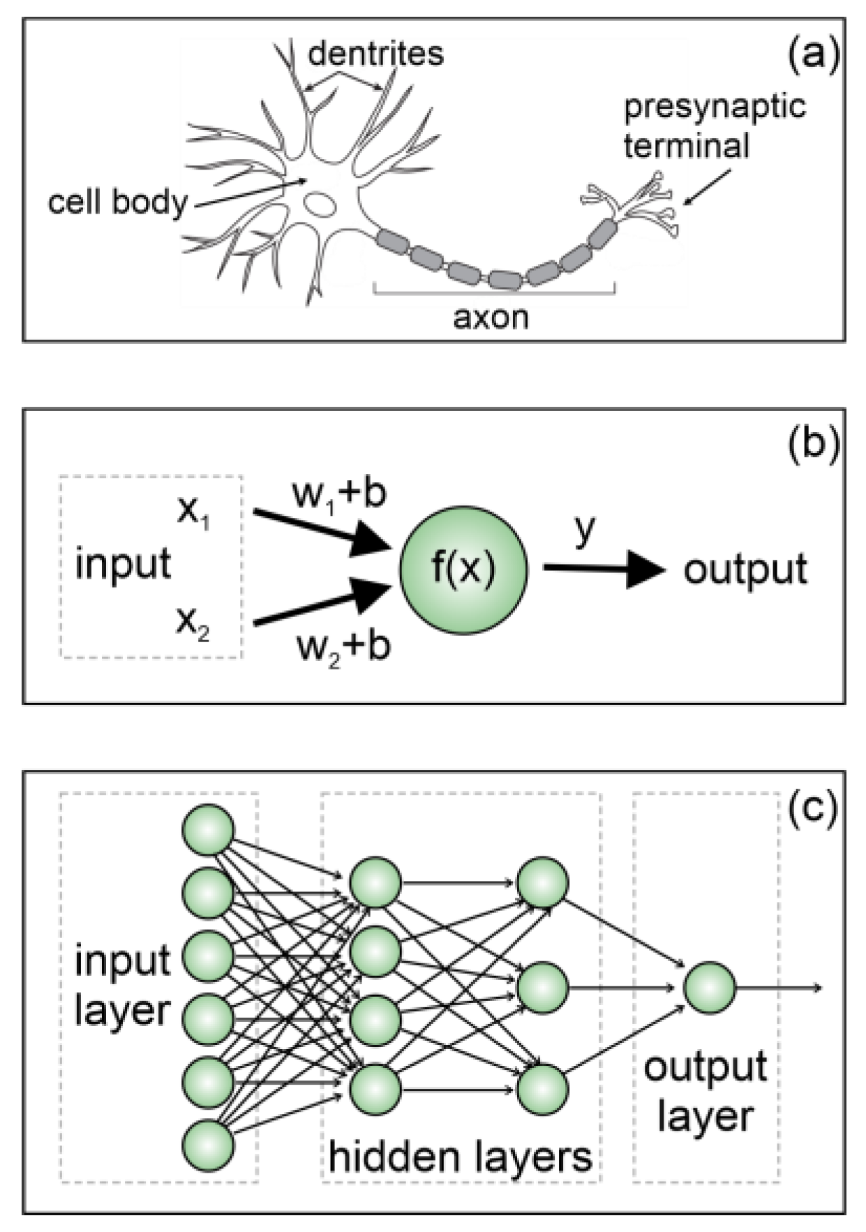 Chemosensors 13 00181 g009