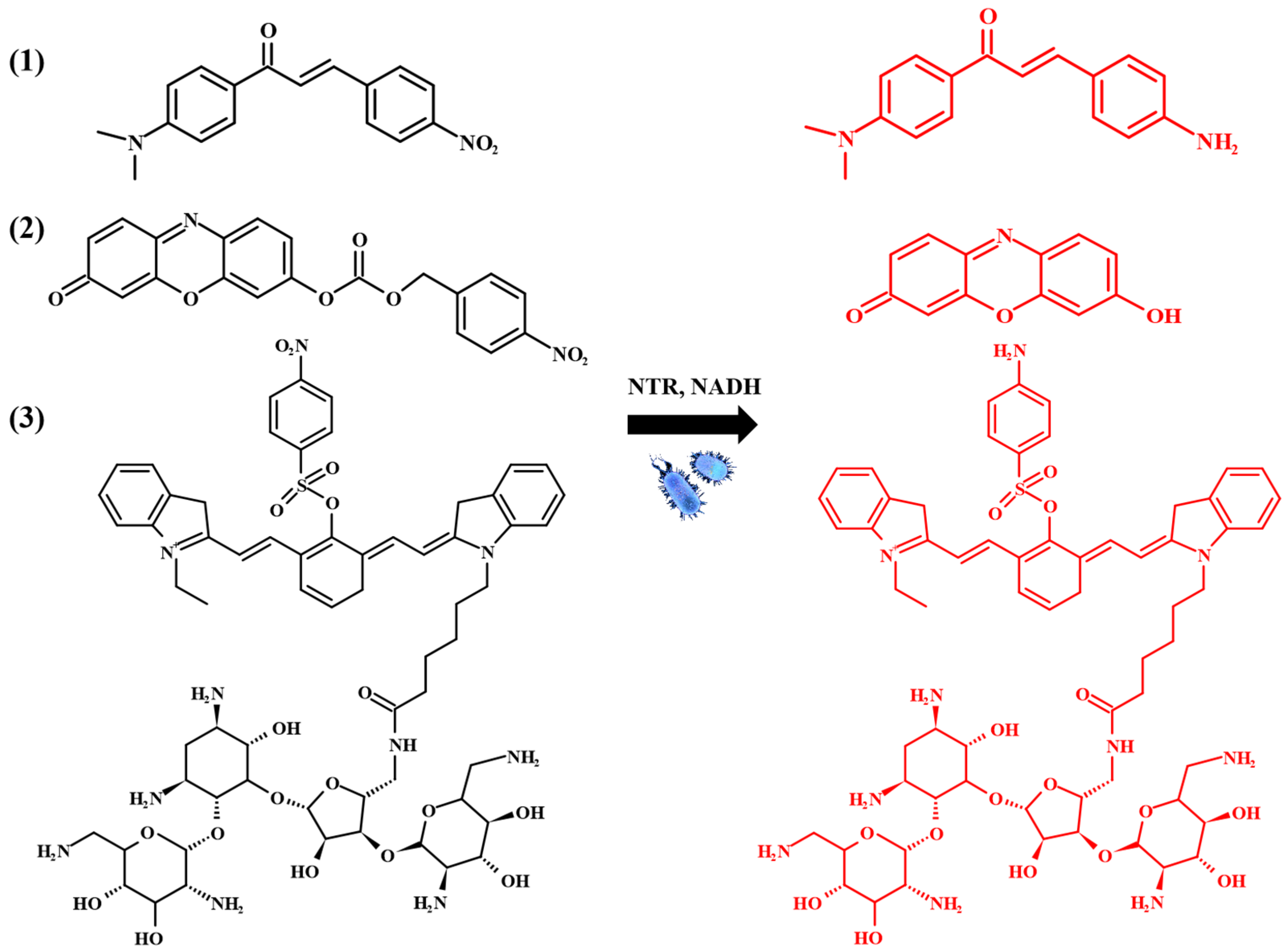 Chemosensors 13 00182 g004