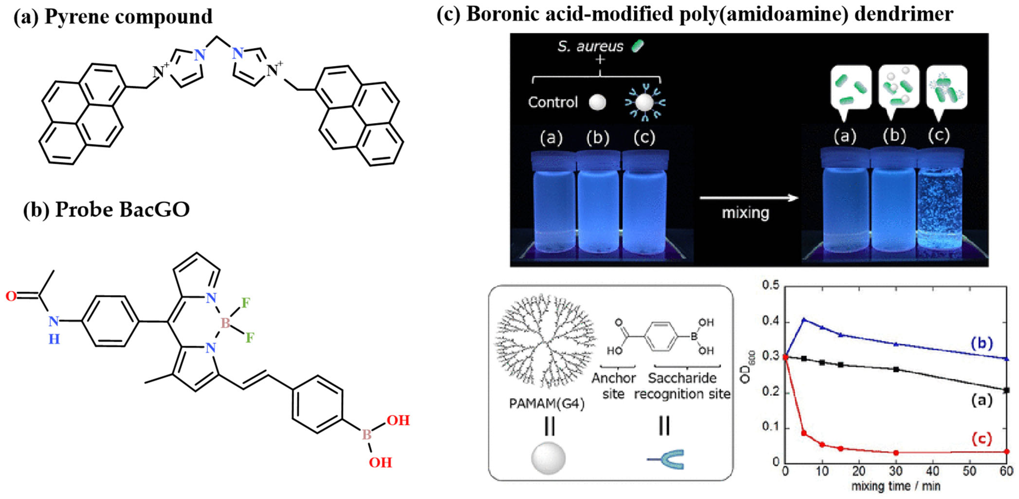 Chemosensors 13 00182 g005