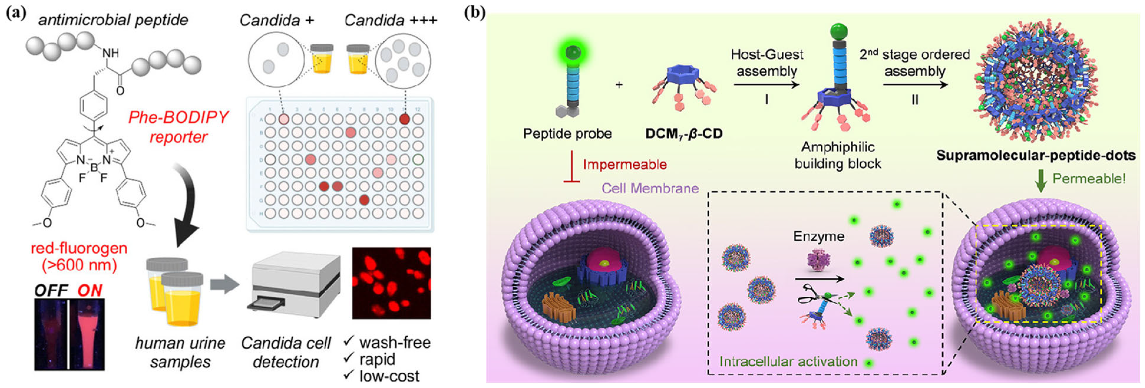 Chemosensors 13 00182 g006