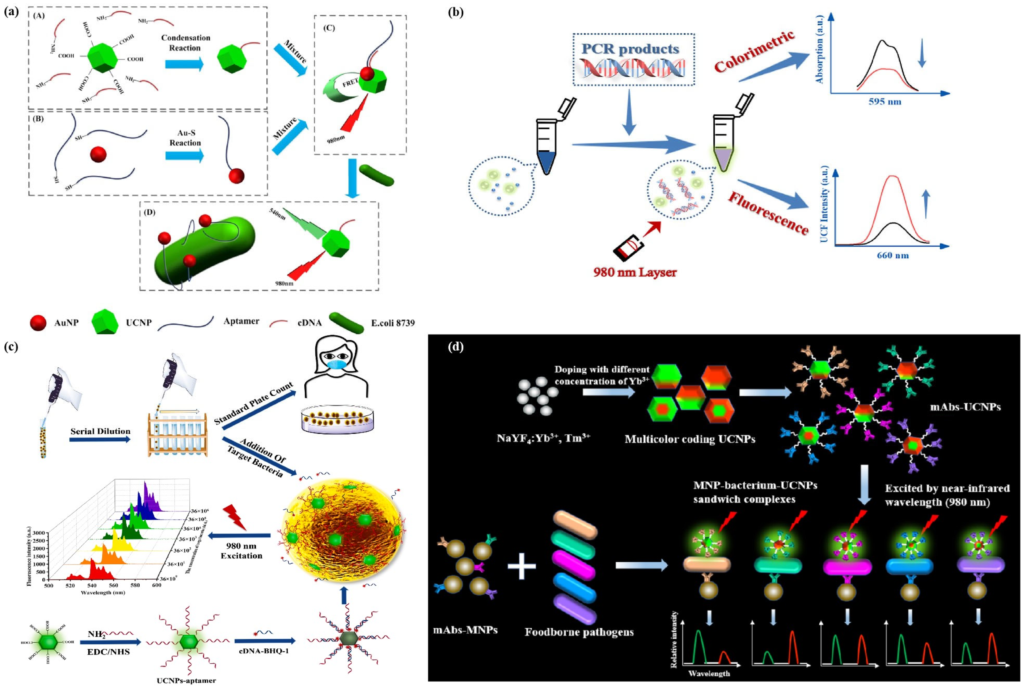 Chemosensors 13 00182 g007