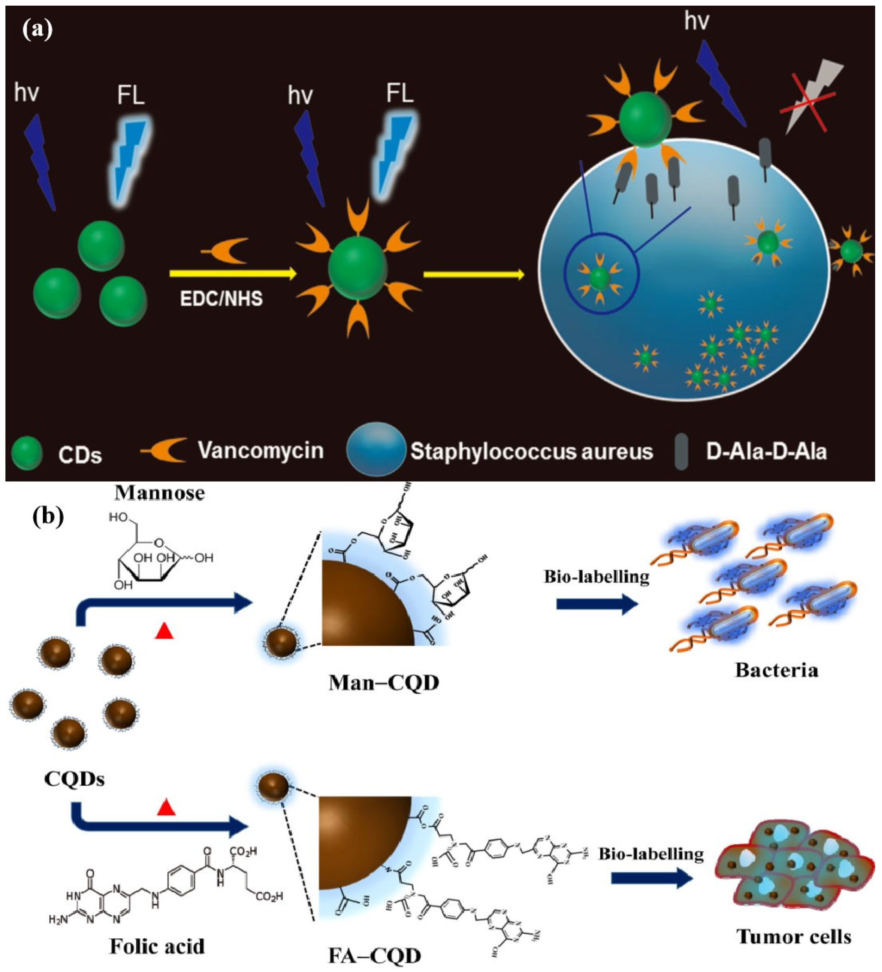 Chemosensors 13 00182 g008